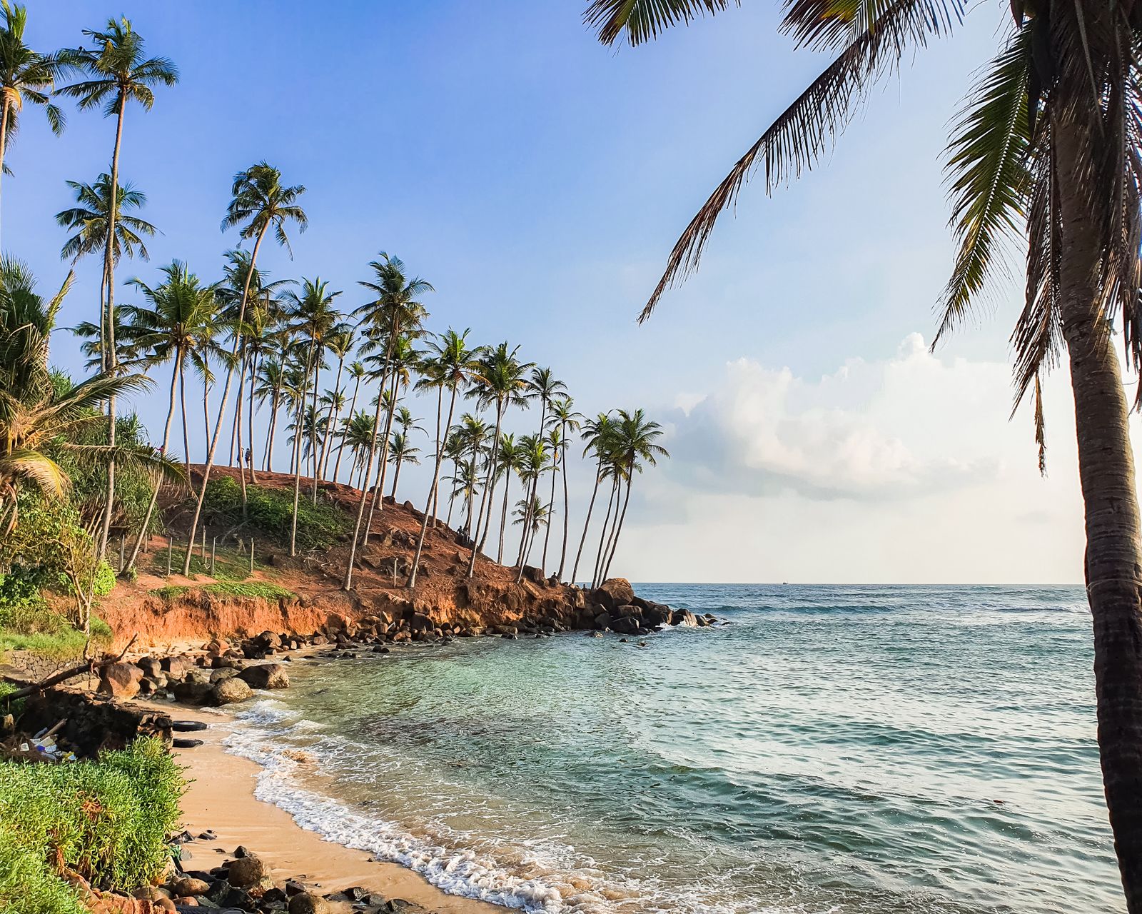 Sri Lanka Travel Guide: 21 Best Things to See in 2026 15 Unawatuna beach with palm trees on Sri Lanka's southwest