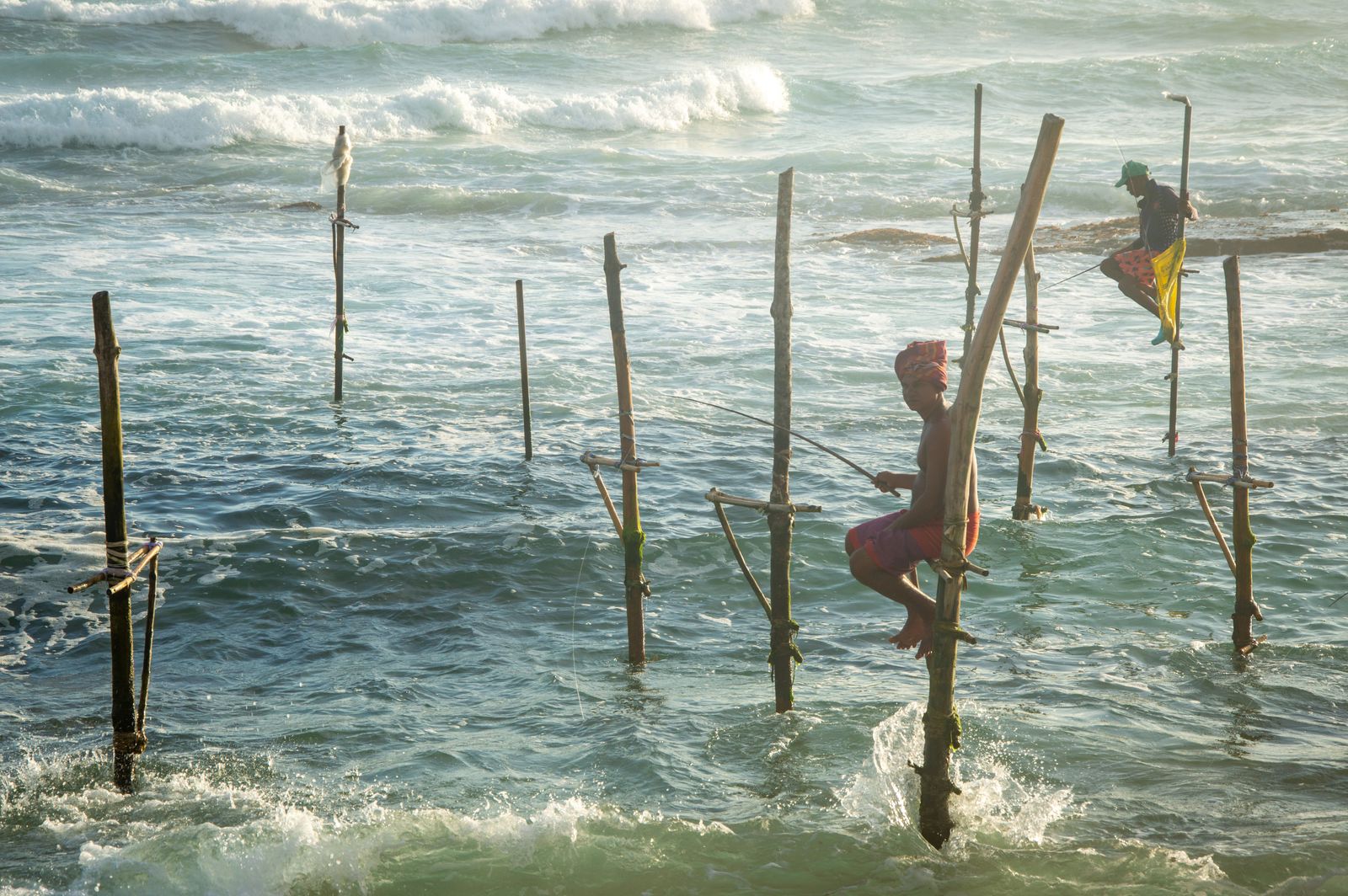Sri Lanka Travel Guide: 21 Best Things to See in 2026 22 Stilt fishermen near Koggala