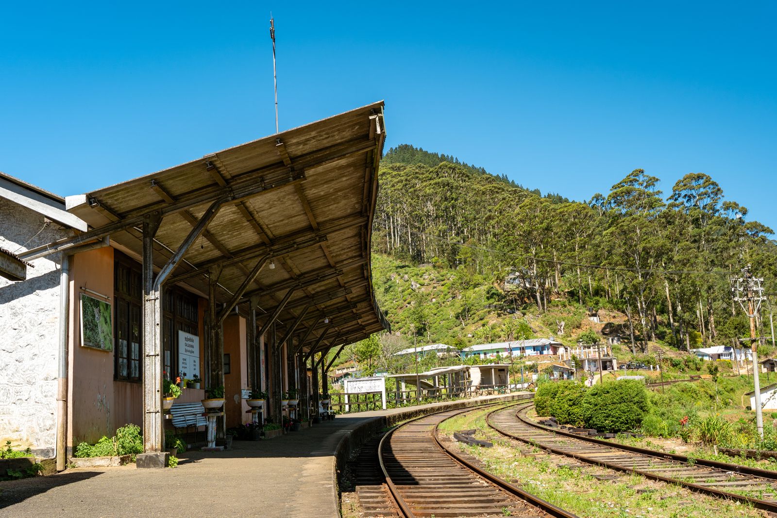 Sri Lanka Travel Guide: 21 Best Things to See in 2026 8 The legendary blue train on the way to Ella