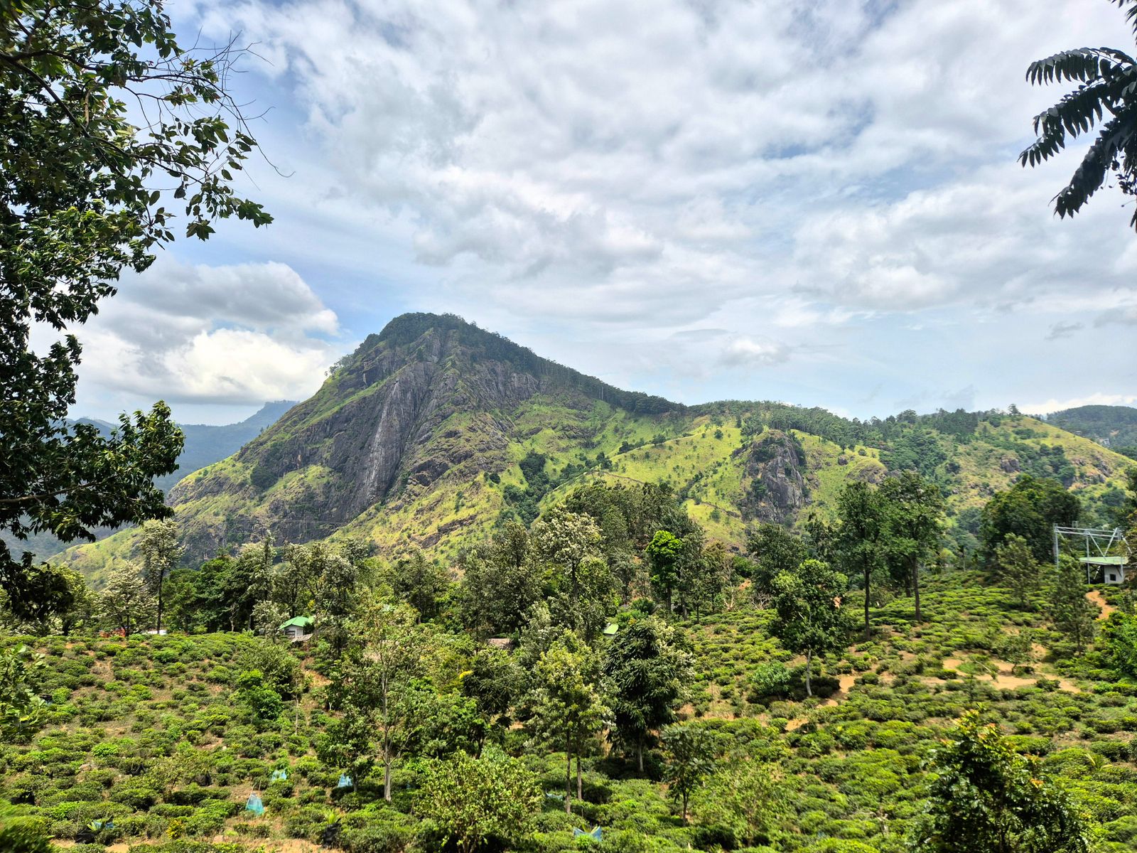 Sri Lanka Travel Guide: 21 Best Things to See in 2026 10 View from Little Adam's Peak over the Ella Gap
