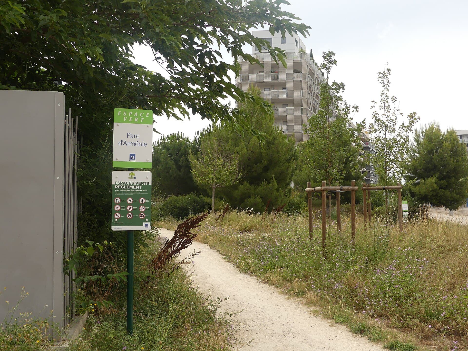 Montpellier, Franța: 13 lucruri de văzut și făcut în 2026 17 Viața de noapte studențească și cultura cafenelelor