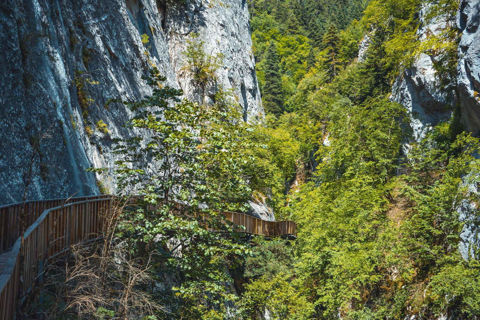 Canyon del fiume Tara e ponte Đurđevića: rafting, zip-line e il canyon più profondo d'Europa 2026 18 Domande frequenti sul rafting in Montenegro