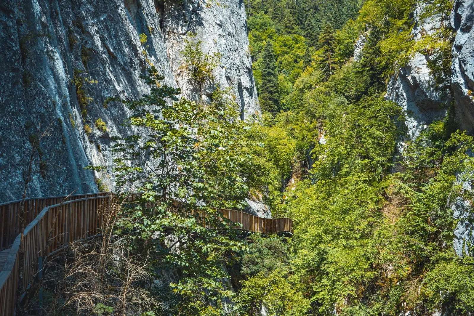 Canionul râului Tara și podul Đurđević: rafting, tiroliană și cel mai adânc canion din Europa 2026 18 Întrebări frecvente