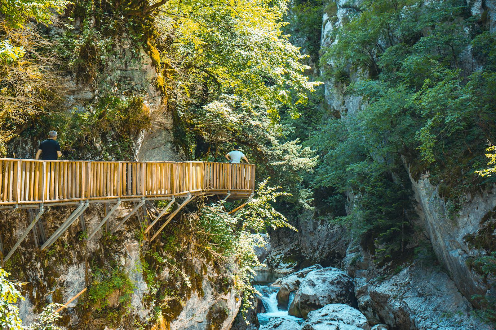 Canyon del fiume Tara e ponte Đurđevića: rafting, zip-line e il canyon più profondo d'Europa 2026 16 Lasciati incantare dalla purezza della «Lacrima d'Europa»