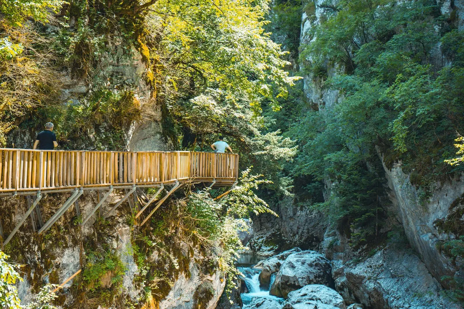 Canionul râului Tara și podul Đurđević: rafting, tiroliană și cel mai adânc canion din Europa 2026 16 Lasă-te fermecat de puritatea „Lacrimii Europei”
