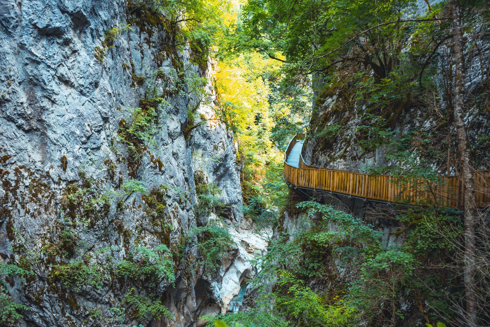 Canyon del fiume Tara e ponte Đurđevića: rafting, zip-line e il canyon più profondo d'Europa 2026 13 Ammira la profondità del canyon dal belvedere di Ćurevac