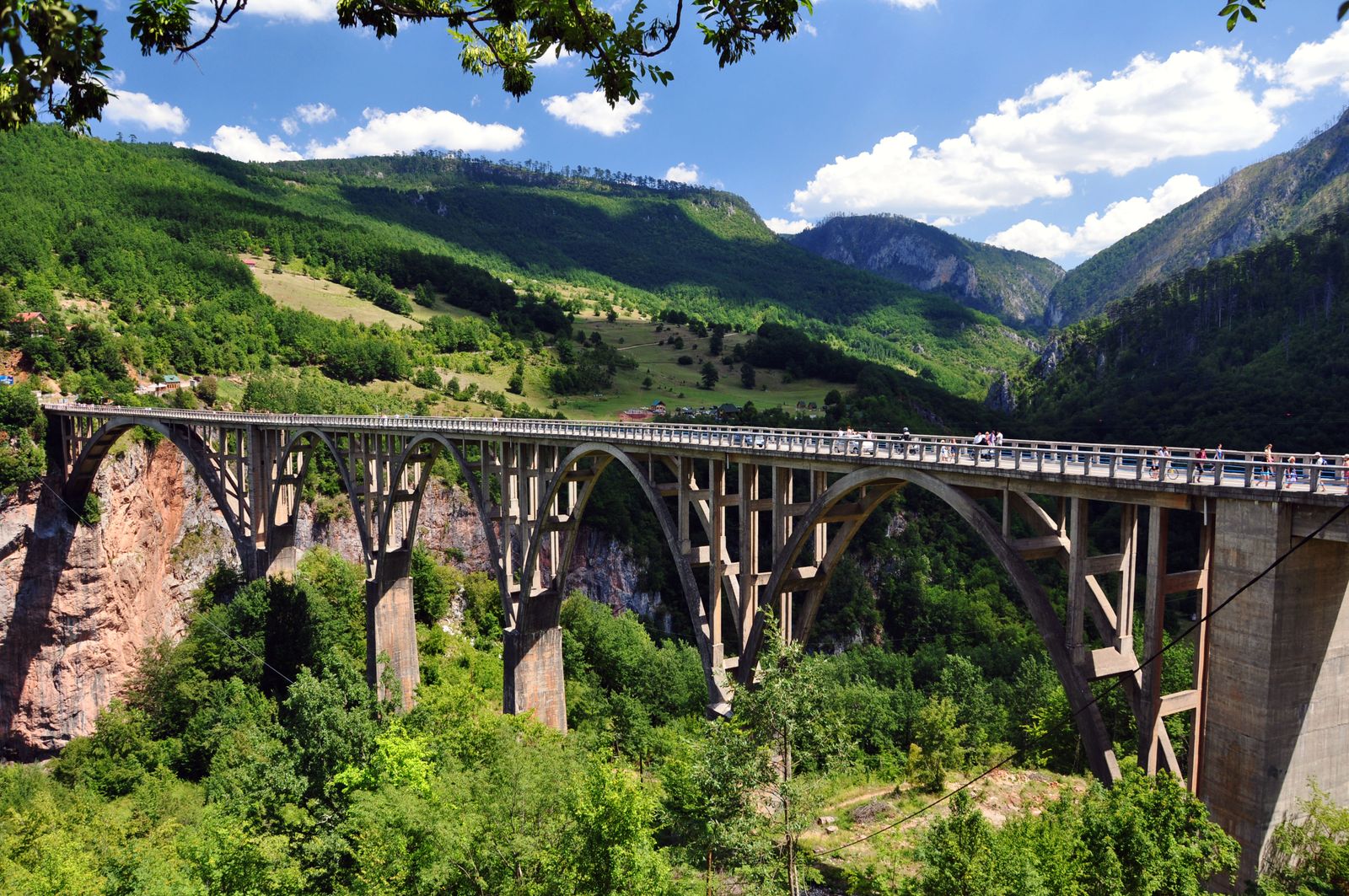 Canyon del fiume Tara e ponte Đurđevića: rafting, zip-line e il canyon più profondo d'Europa 2026 10 Risparmia con il pacchetto combo zip-line e rafting
