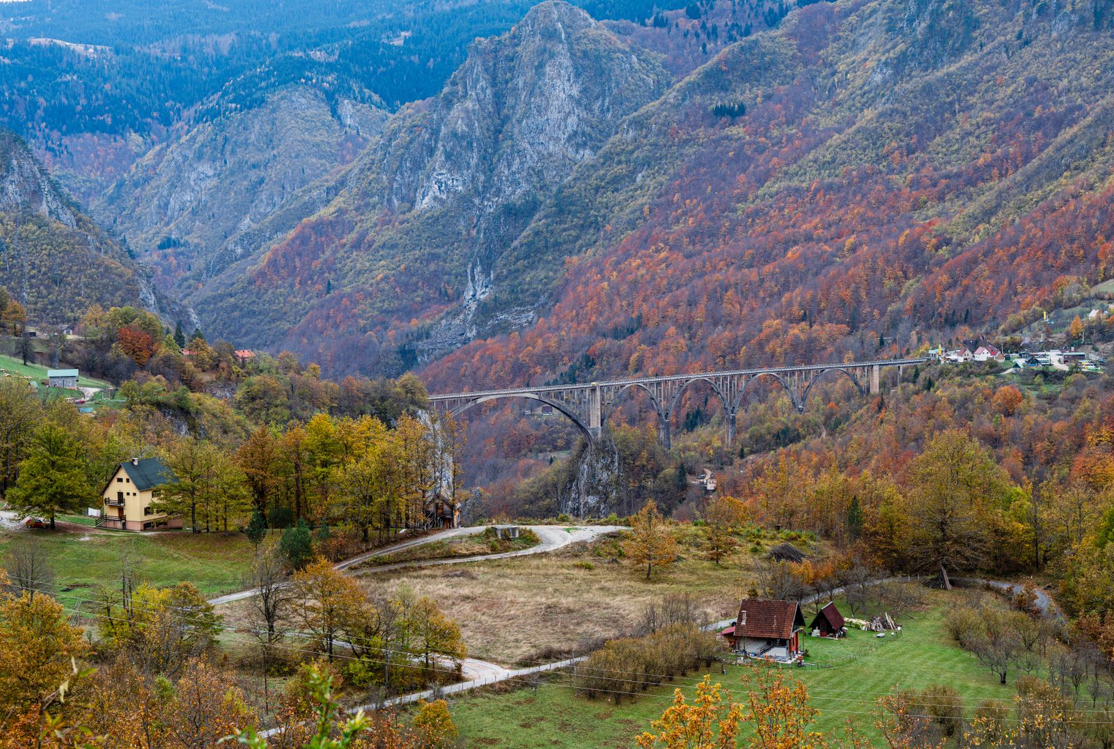 Canyon del fiume Tara e ponte Đurđevića: rafting, zip-line e il canyon più profondo d'Europa 2026 9 Affronta il fiume in una spedizione di un'intera giornata da Splavište