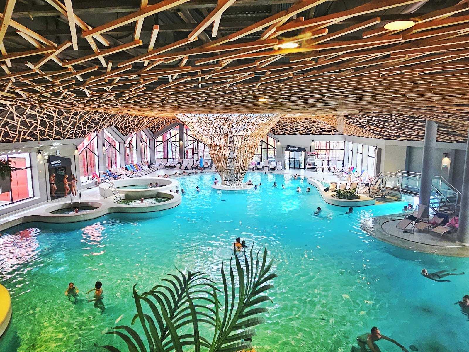 Les meilleurs thermes de Slovénie : 13 stations thermales pour 2026 4 Lagune thermale verte bordée de palmiers aux Terme Olimia