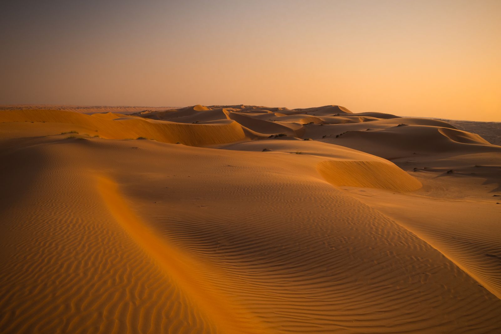 Abu Dhabi: 21 dicas do que ver e quando ir 21 Dunas do deserto de Rub al-Khali