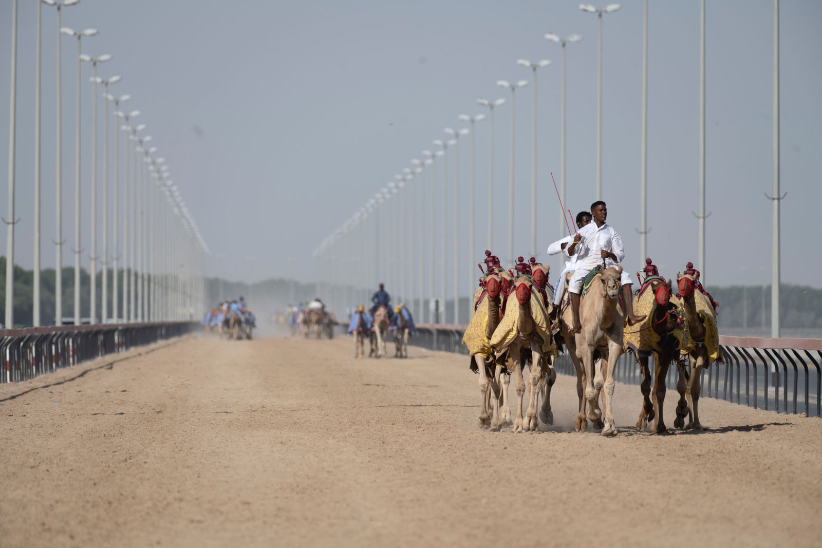 Abu Dhabi: 21 dicas do que ver e quando ir 22 Corridas de camelos — experiência autêntica e gratuita