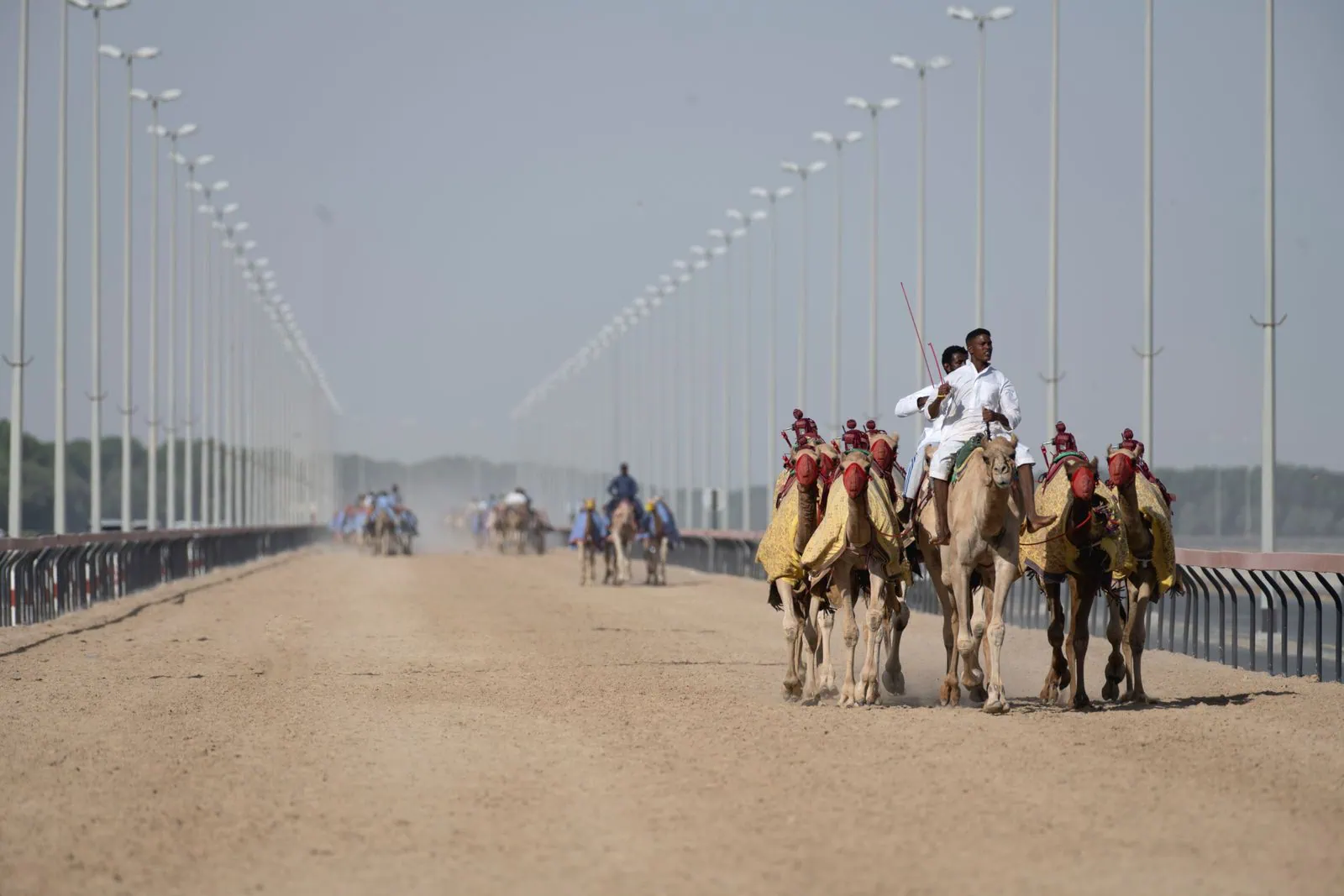 Dovolená v Abu Dhabi: 21 tipů co vidět a kdy jet 22 Velbloudí závody — autentický zážitek zdarma