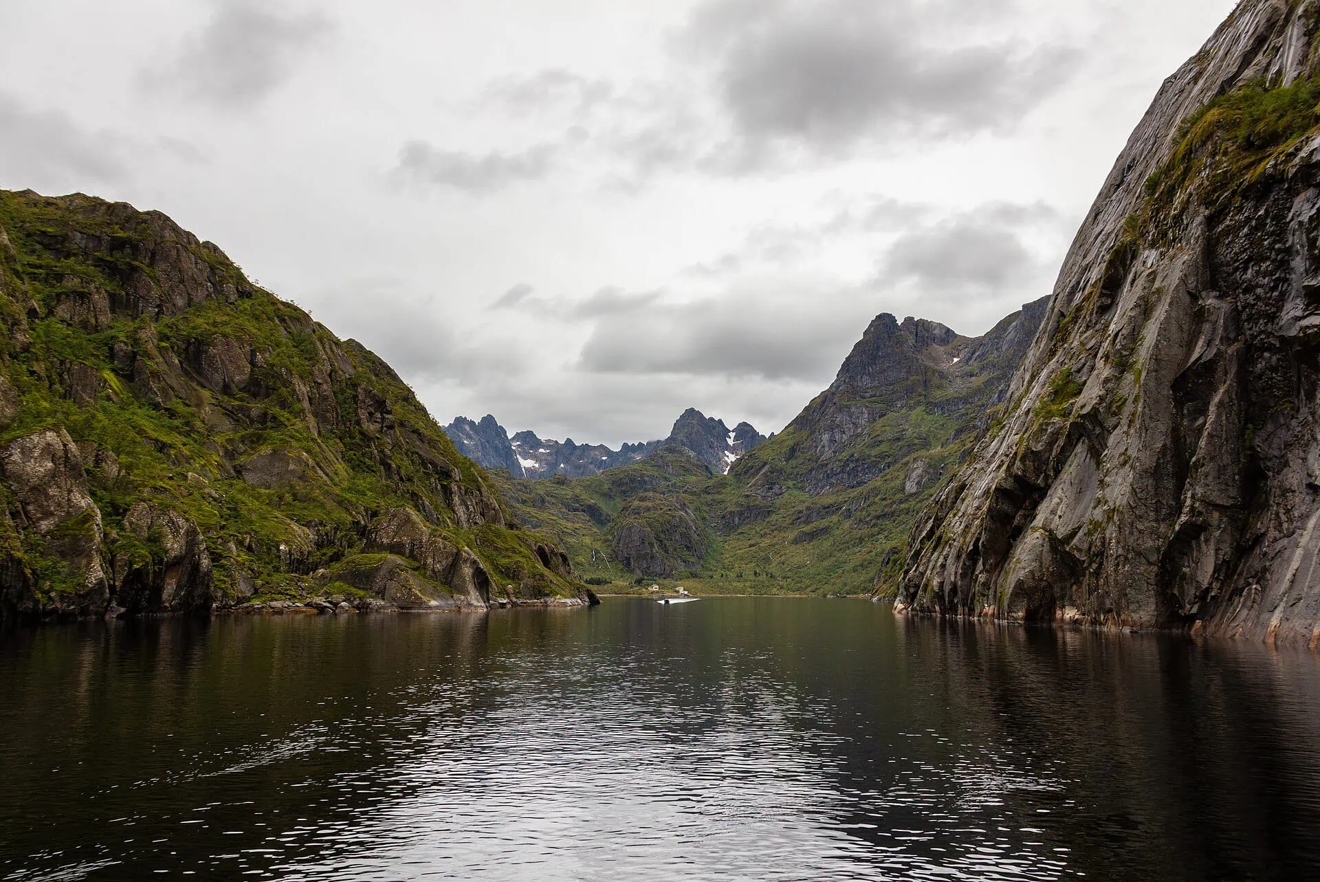 Trollfjord in Norvegia: in barca nel fiordo più stretto delle Lofoten 2026 2 6 cose che devi sapere