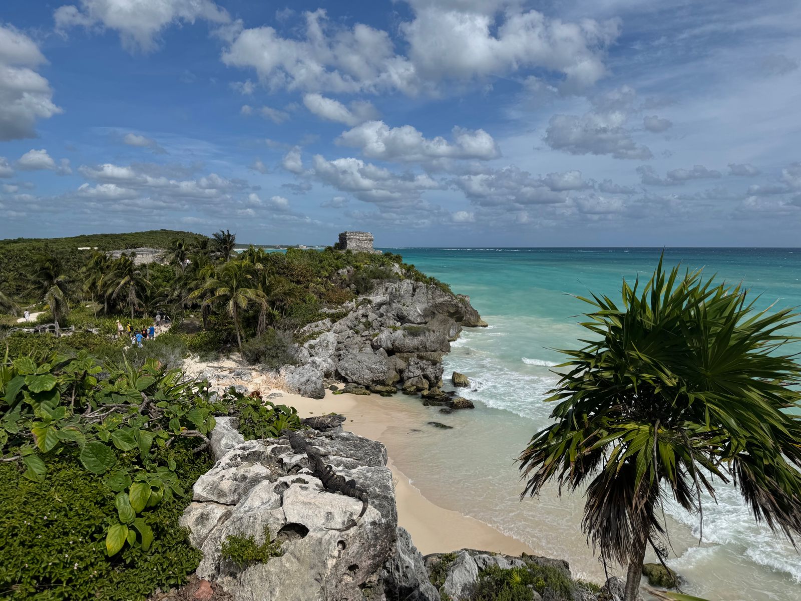 Vacanza in Messico: 20 idee su dove andare e cosa vedere nel 2026 3 Le rovine maya di Tulum sul mare