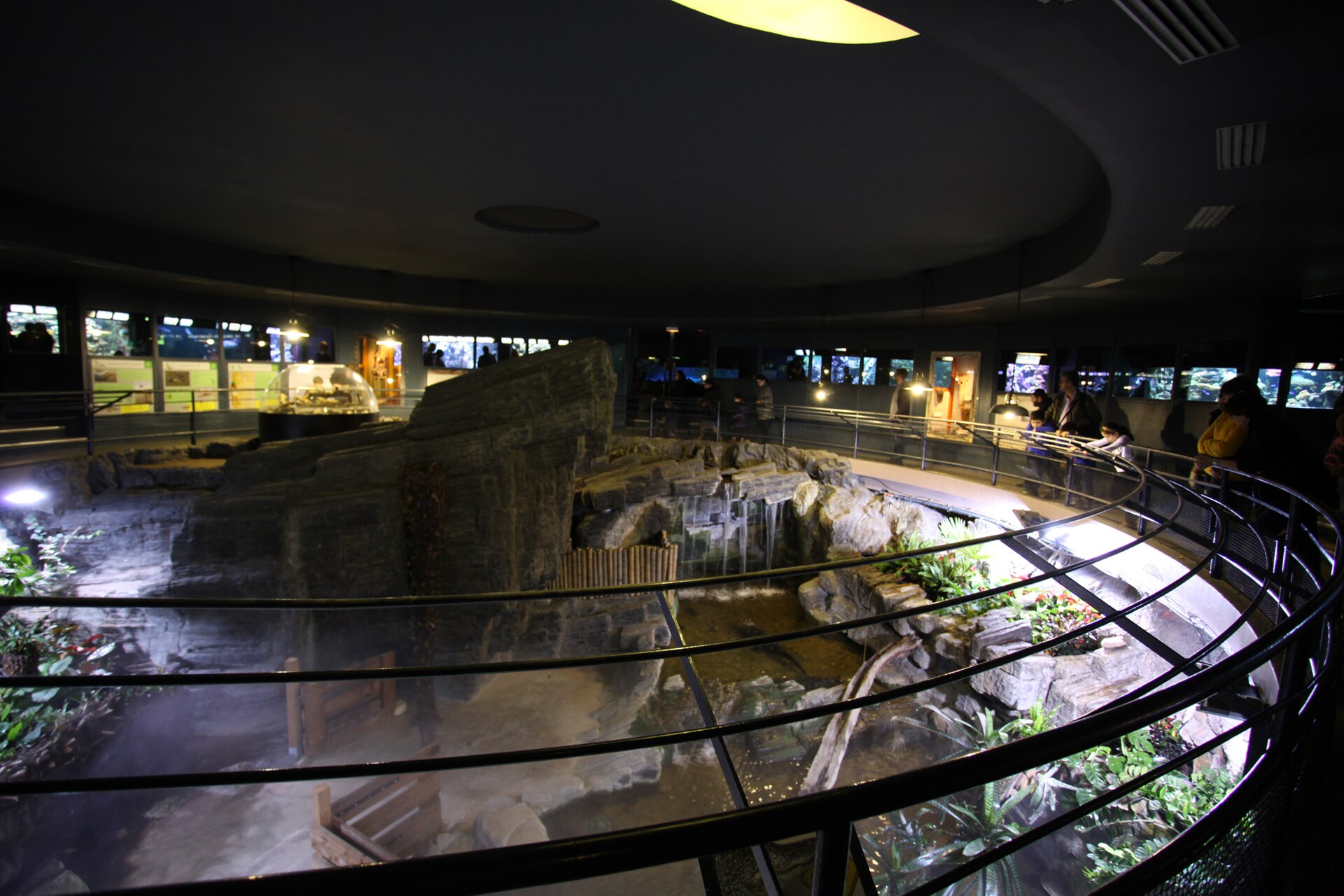Únik před deštěm do Grand Aquarium