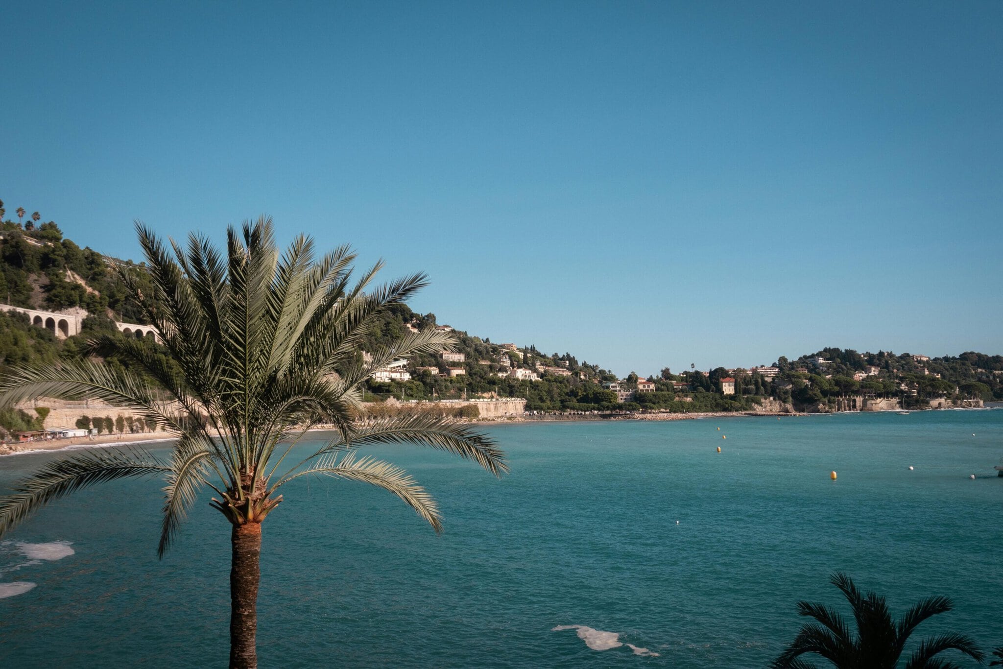 Când să mergi în Franța: 12 lucruri de știut 2 Golf turcoaz pe Riviera Franceză cu palmieri