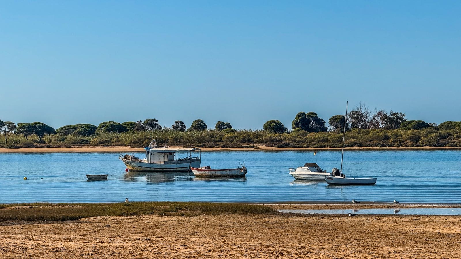 Vilamoura, Portugalia: 15 idei ce să vezi și să faci + unde să stai 17 Unde să mănânci bine (nu doar pentru vegetarieni)