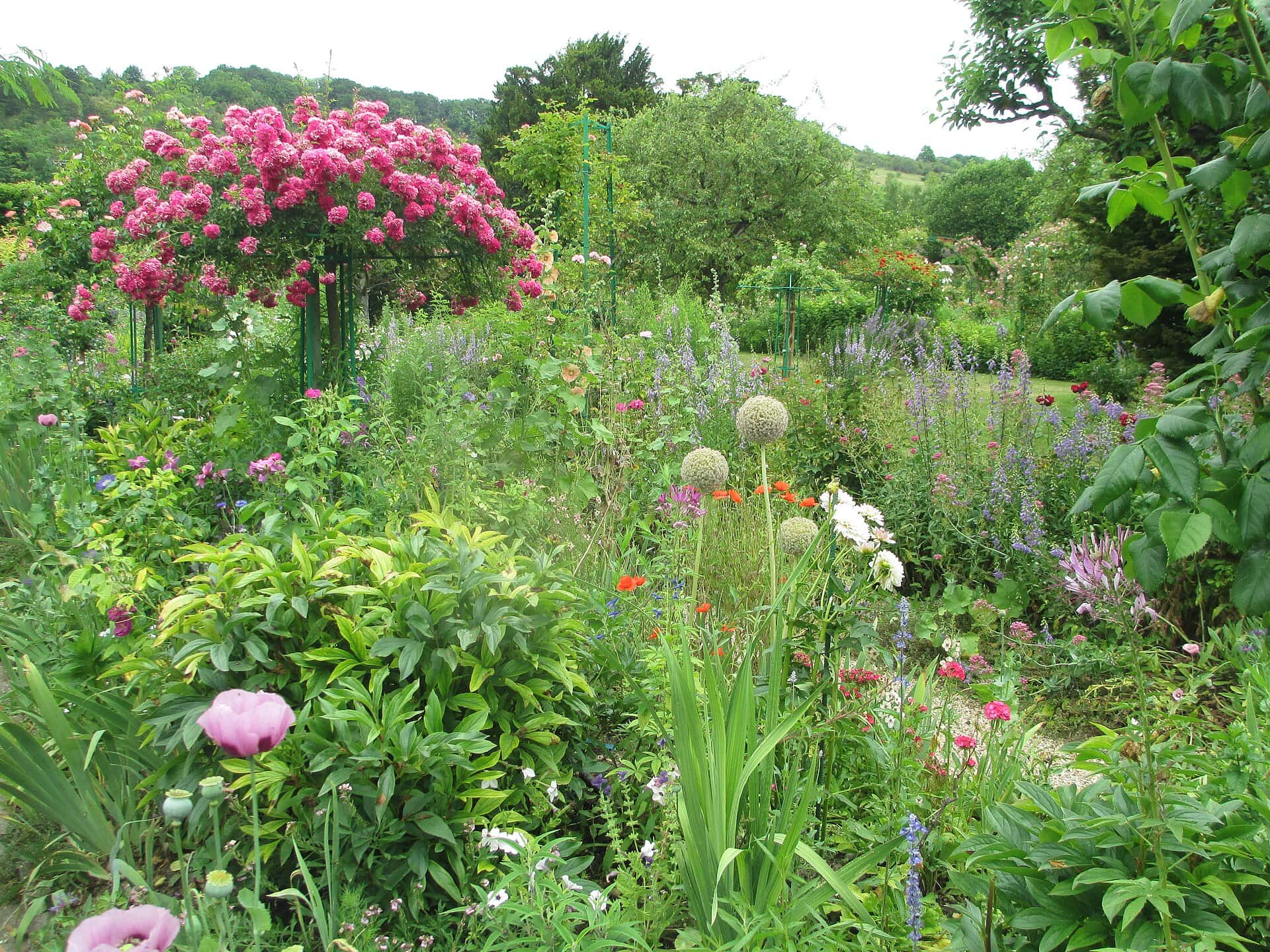 Giverny in Frankreich: 10 Tipps für Monets Garten 2026 6 Der Wassergarten und die Inspiration der Gemälde