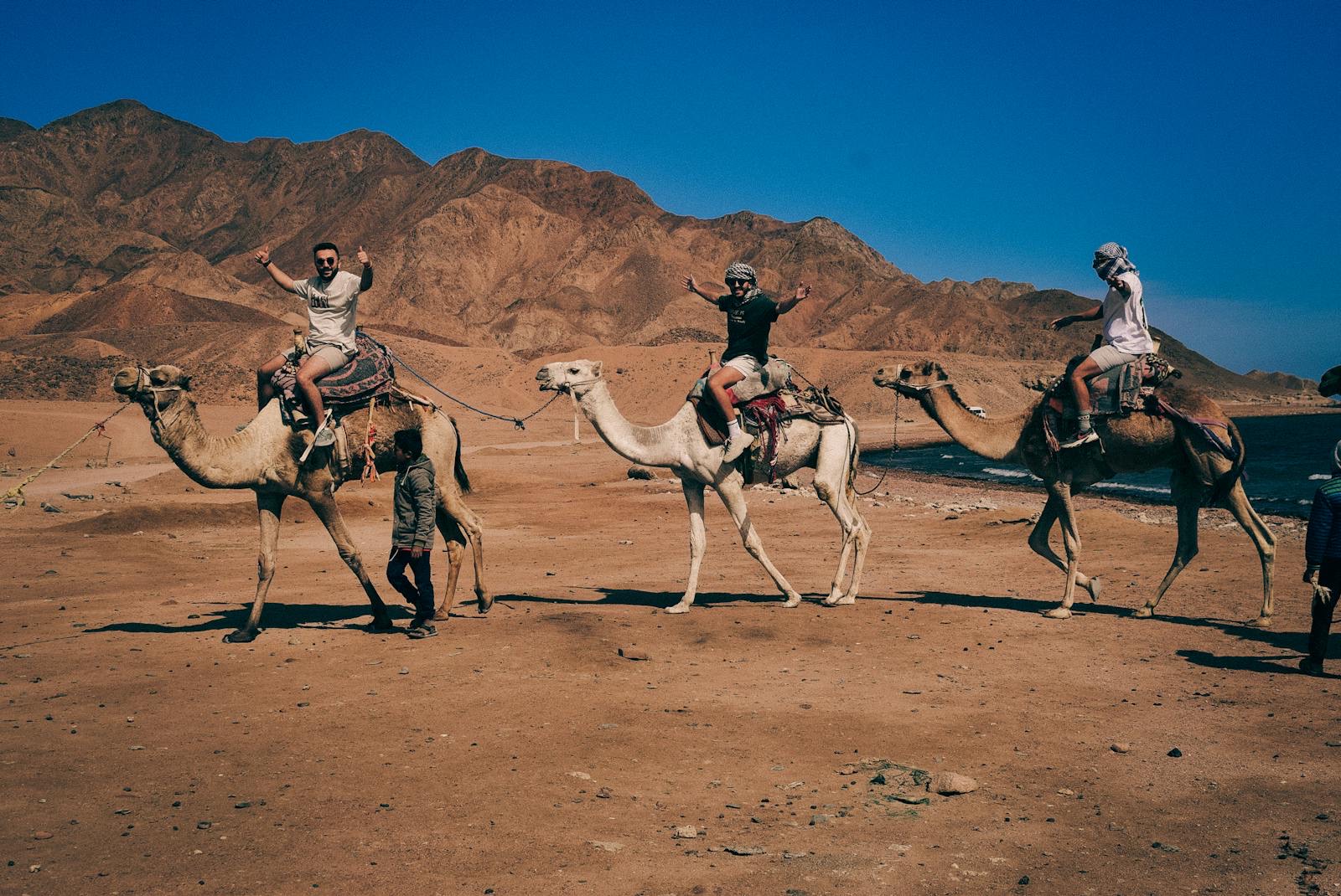 Marsa Alam, Egypt: 13 tipů, co vidět a dělat + nejlepší pláže 9 Národní park Wadi el Gemal