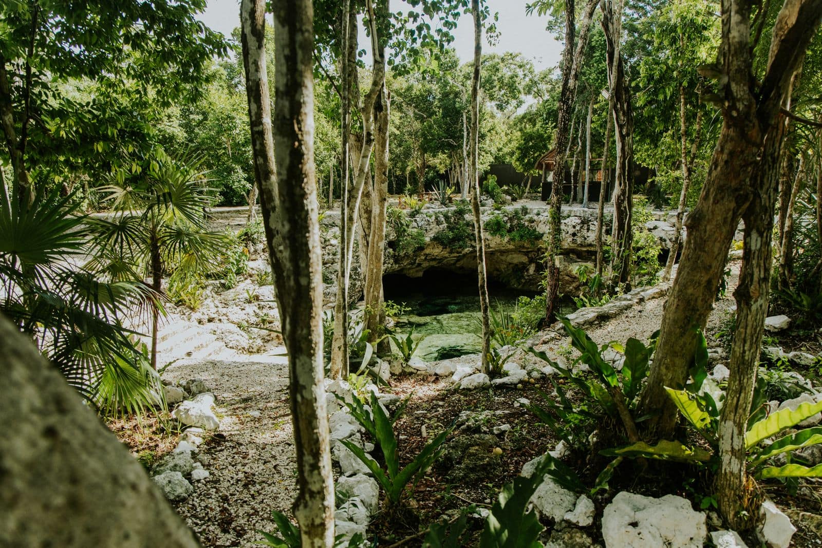 Cenote în Yucatán, Mexic: cele 12 cele mai frumoase + reguli și sfaturi 8 Cenote Zací în Valladolid