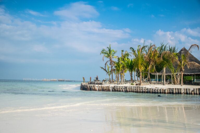 Bílá pláž s palmami na Zanzibaru