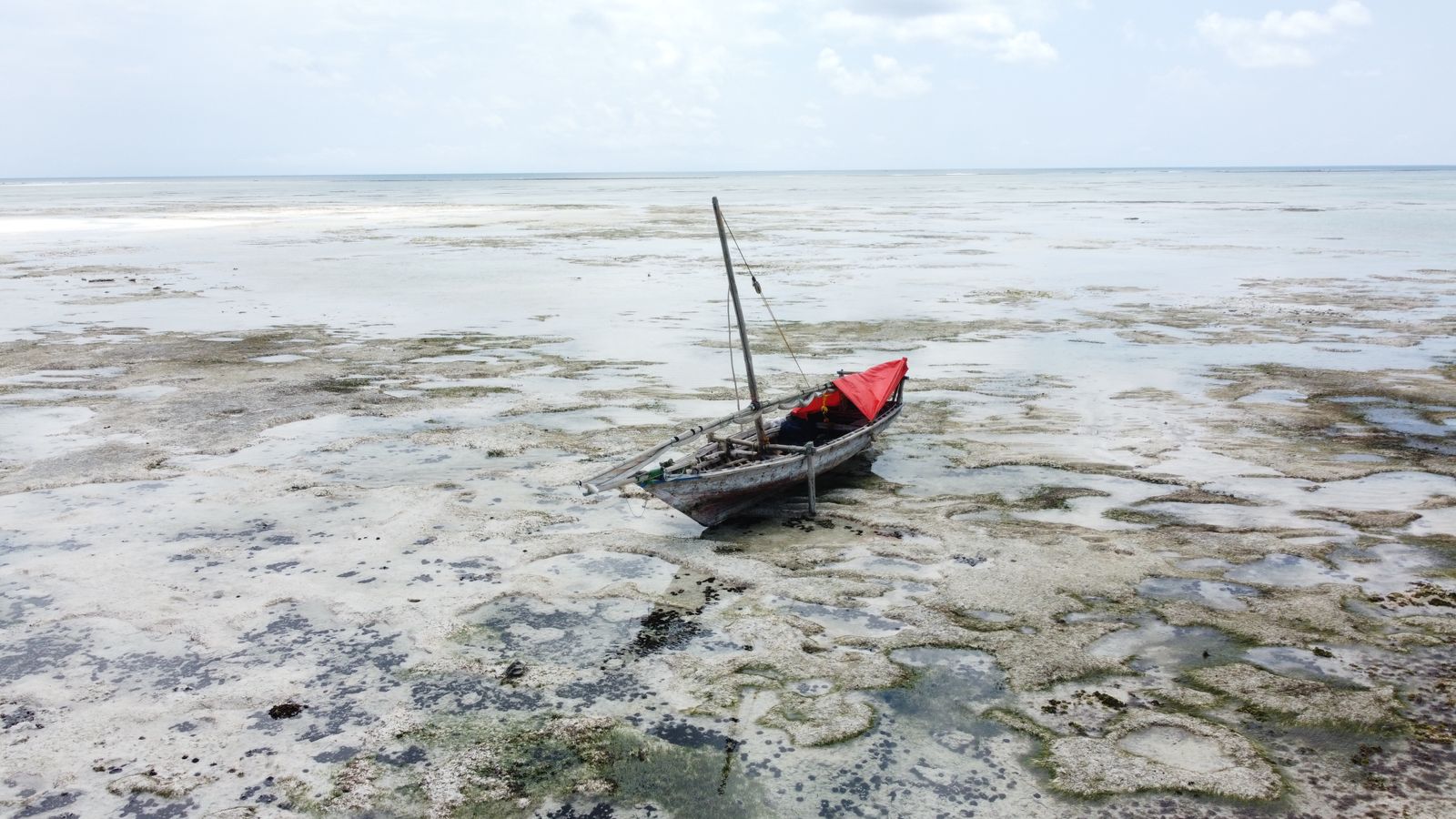 Zanzibar (Tanzania): 21 wskazówek co zobaczyć i kiedy jechać w 2026 3 Odpływ na wschodnim wybrzeżu Zanzibaru