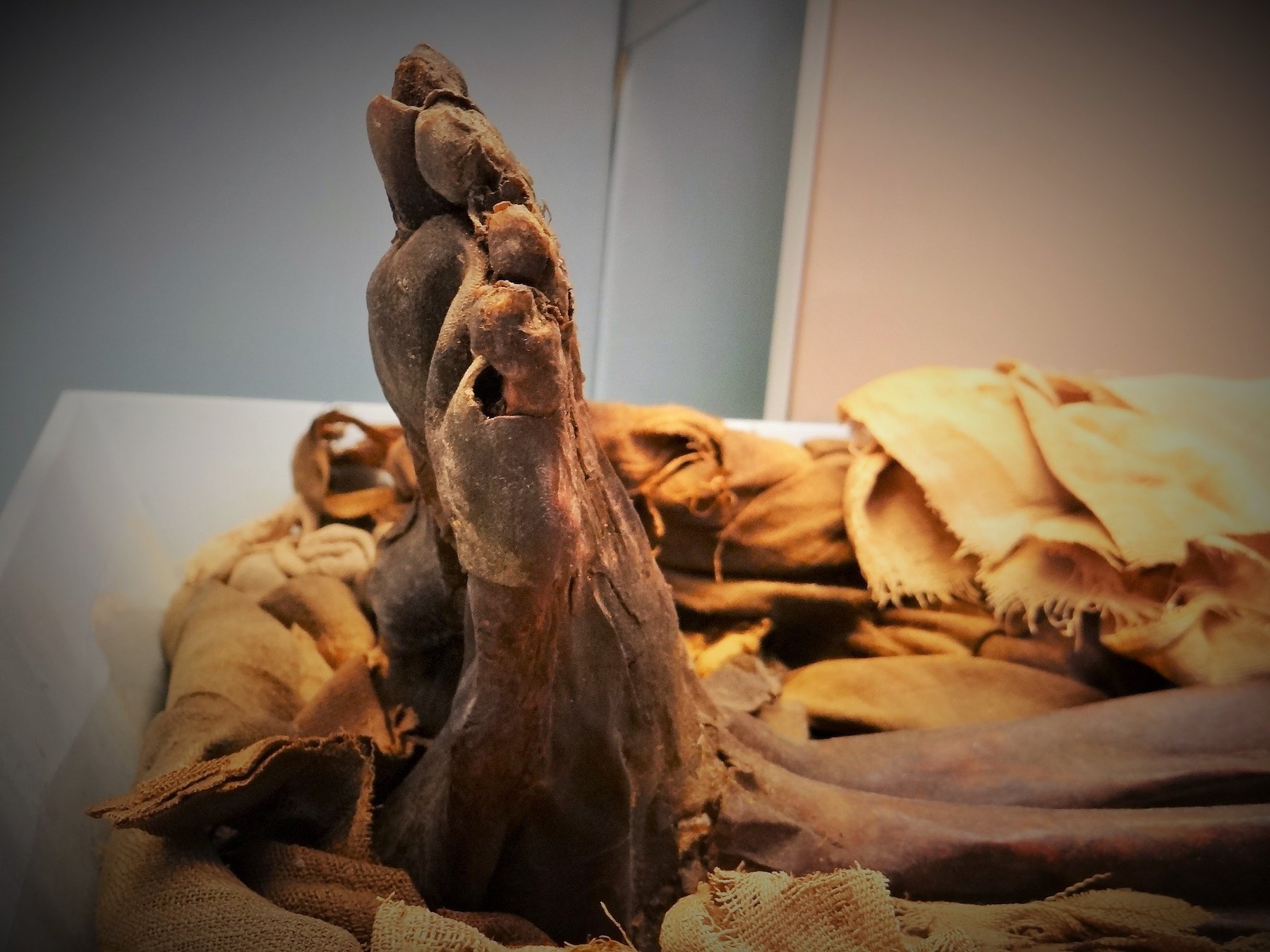British Museum din Londra: ce să vezi în câteva ore și de ce e gratis în 2026 7 Mumie egipteană în bandaje într-o vitrină din British Museum