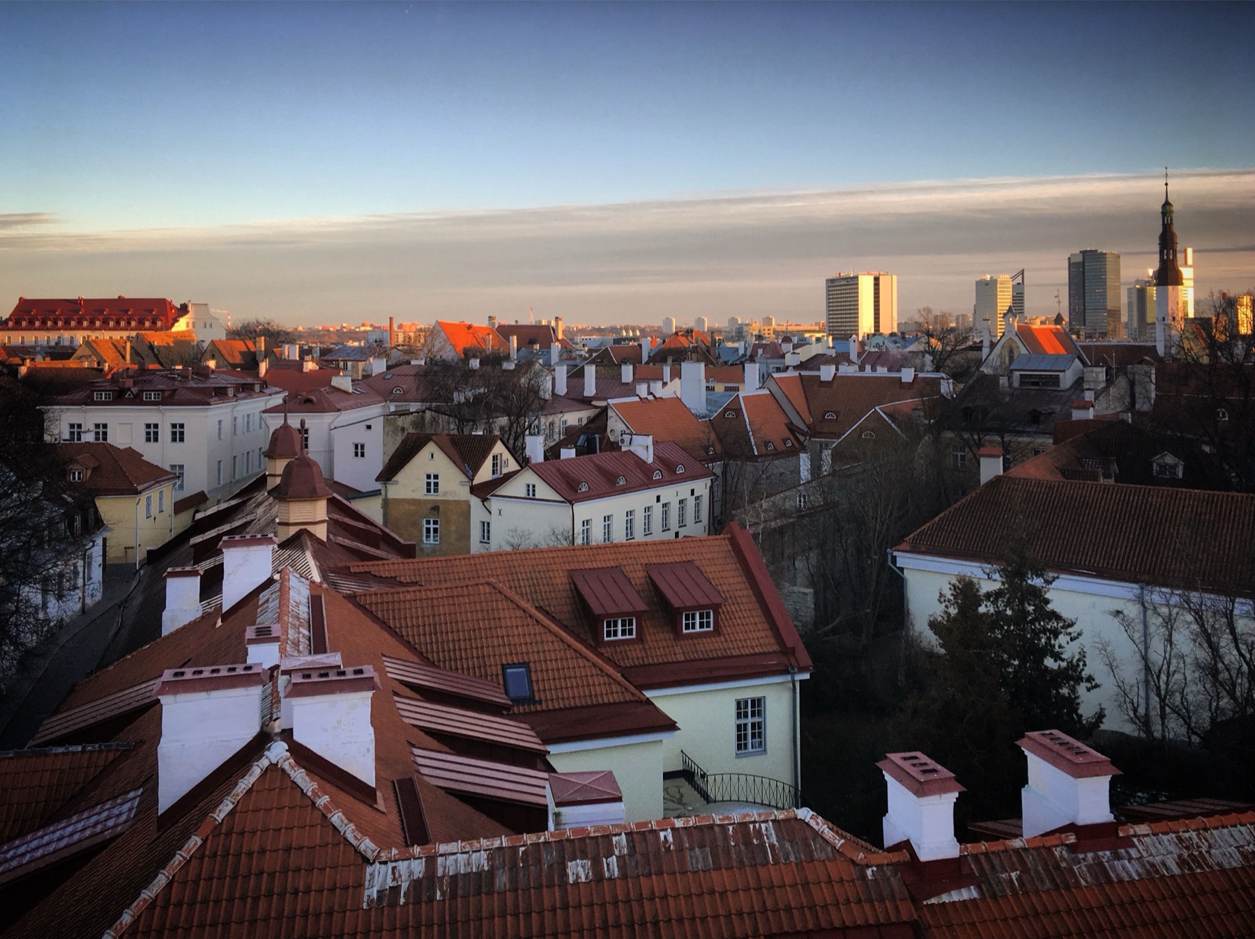 Estonsko: 20 zajímavostí a faktů, které jste nevěděli 3 Panorama tallinnského Starého Města