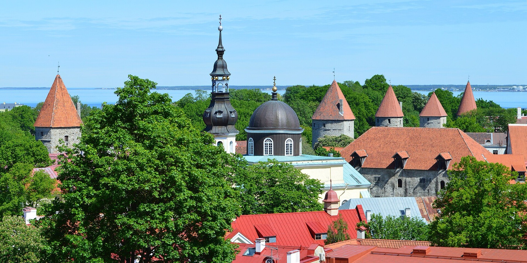 Tallinn (Estonia): 20 rzeczy, które warto zobaczyć w 2026 roku 11 Widok z punktu Kohtuotsa na dachy Dolnego Miasta