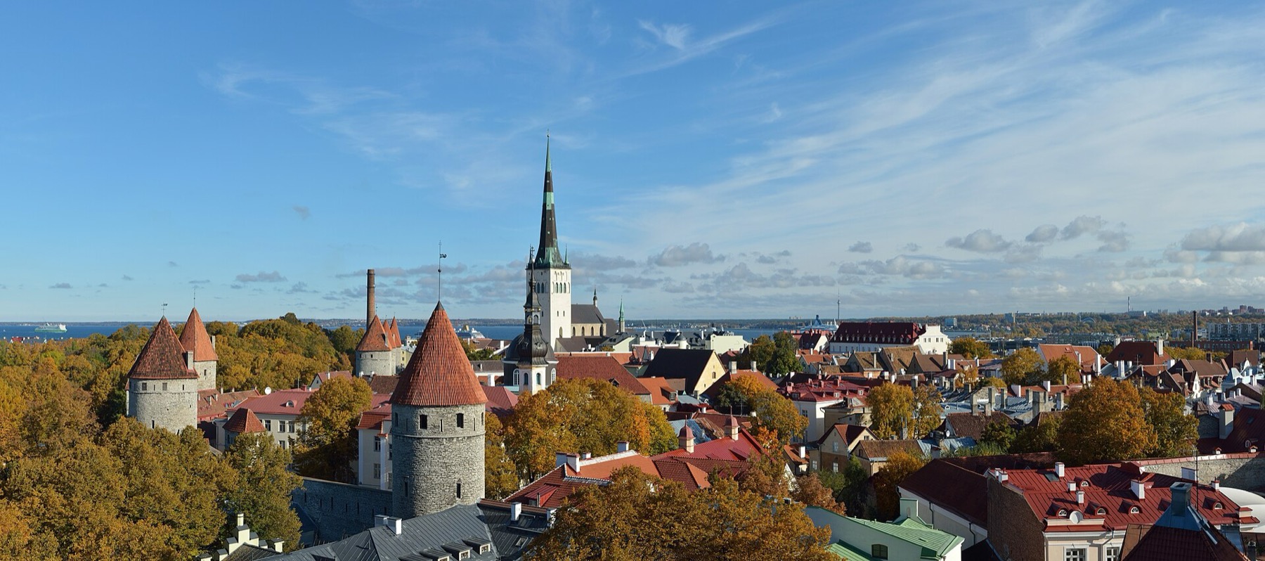 Tallinn (Estonia): 20 rzeczy, które warto zobaczyć w 2026 roku 12 Widok z punktu Patkuli na mury obronne i Zatokę Fińską