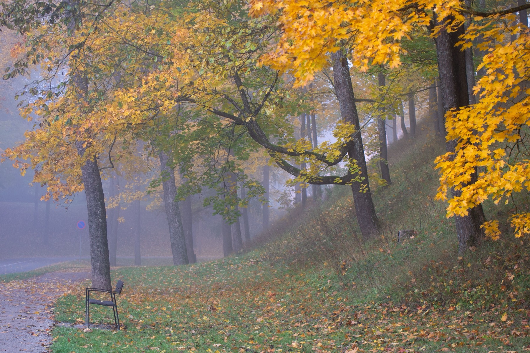 Tartu, Estonia: 12 Things to See in the Student Heart of the Country in 2026 2 Autumn in Tartu