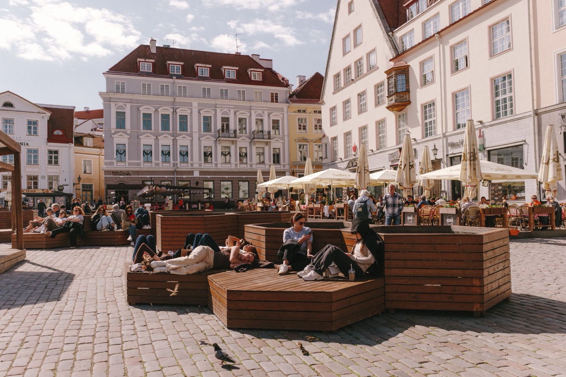 Ferry Helsinki Tallinn : prix, horaires et astuces pour économiser en 2026 13 Place de l'Hôtel de Ville à Tallinn