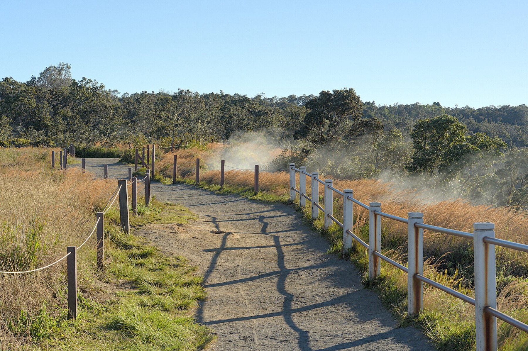 Hawai'i Volcanoes National Park: Průvodce 6 Pára stoupající ze země na Steaming Bluff