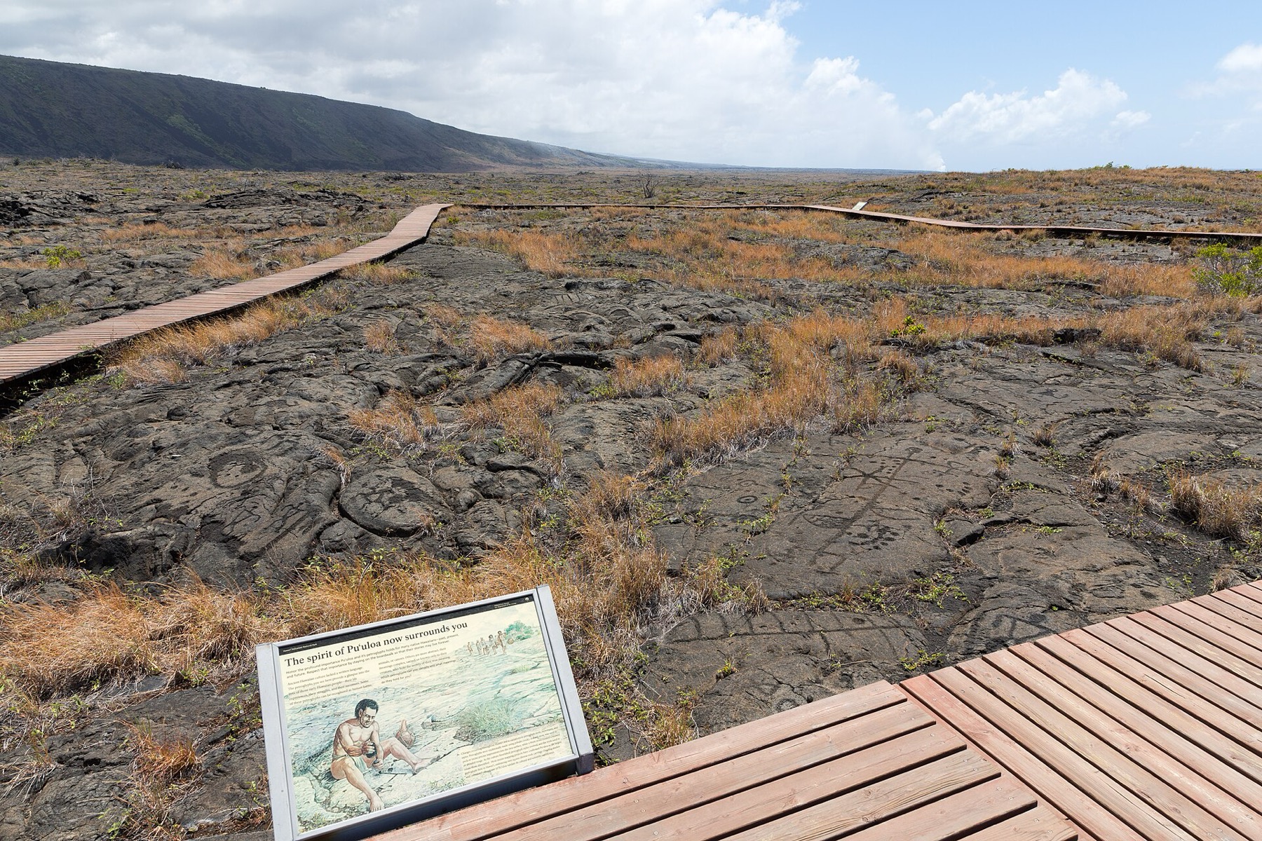 Hawai'i Volcanoes National Park: Průvodce 12 Petroglyfy Puʻu Loa s dřevěným chodníkem