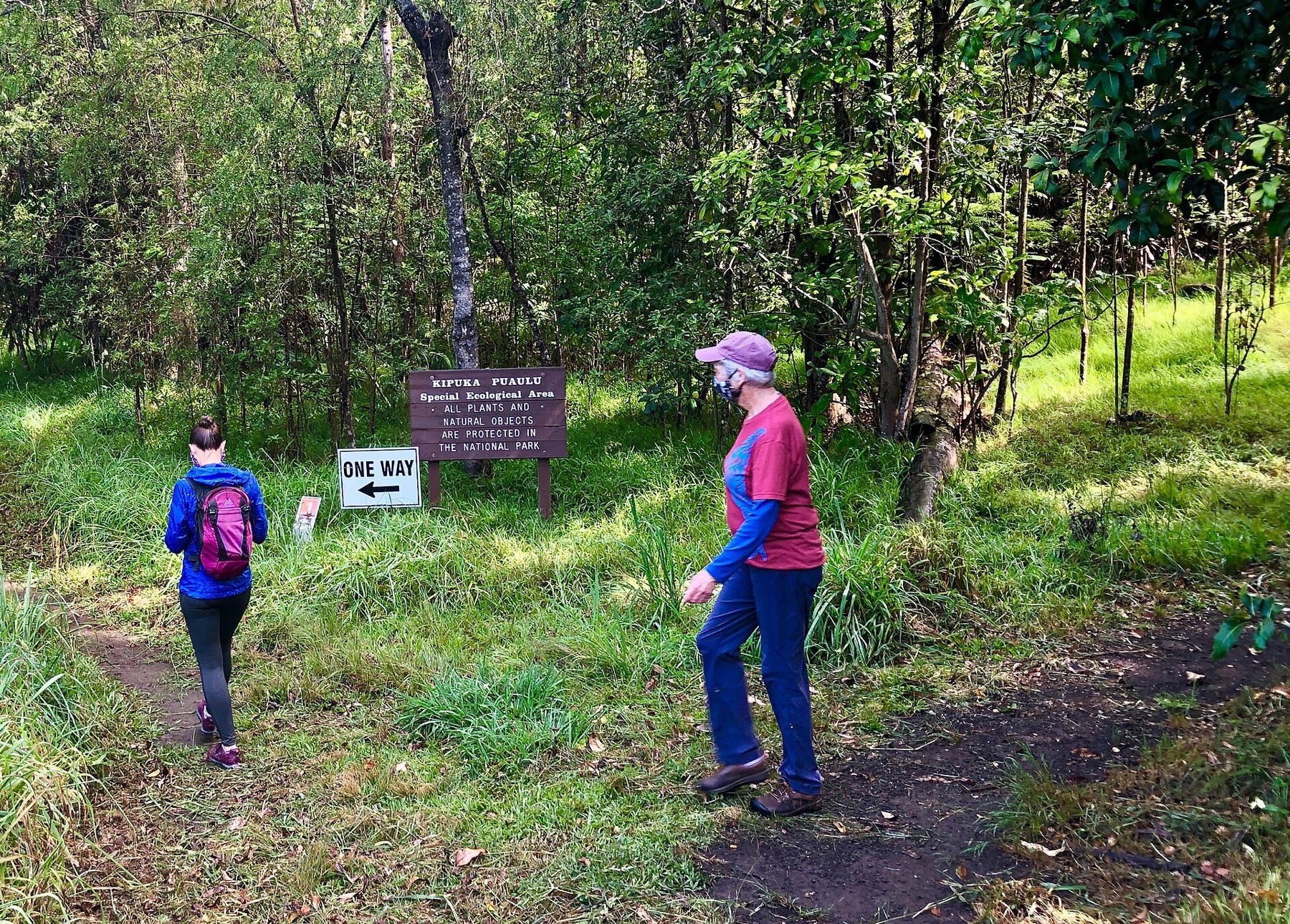 Hawai'i Volcanoes National Park: Průvodce 17 Vstup na stezku Kīpukapuaulu (Bird Park)