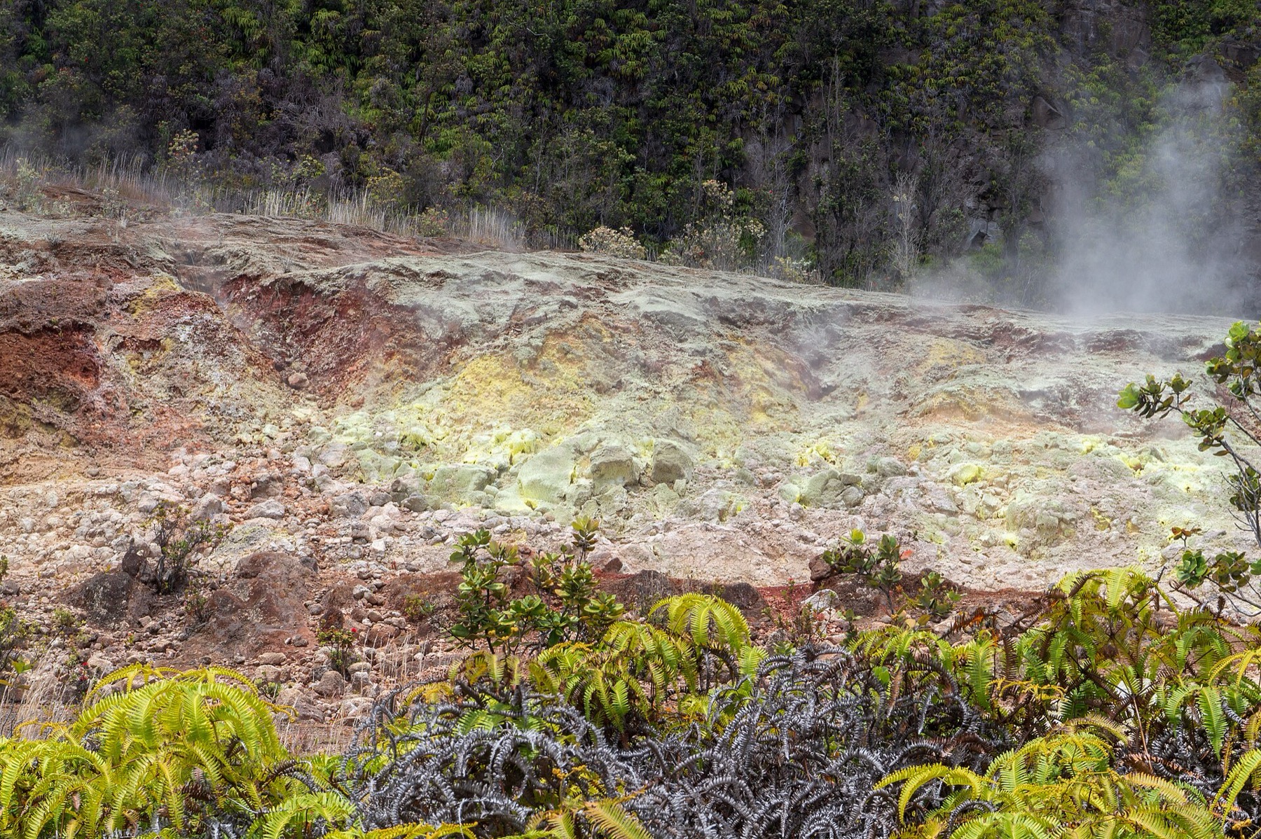 Hawai'i Volcanoes National Park: Průvodce 19 Žluté sirné usazeniny Sulphur Banks (Haʻakulamanu)