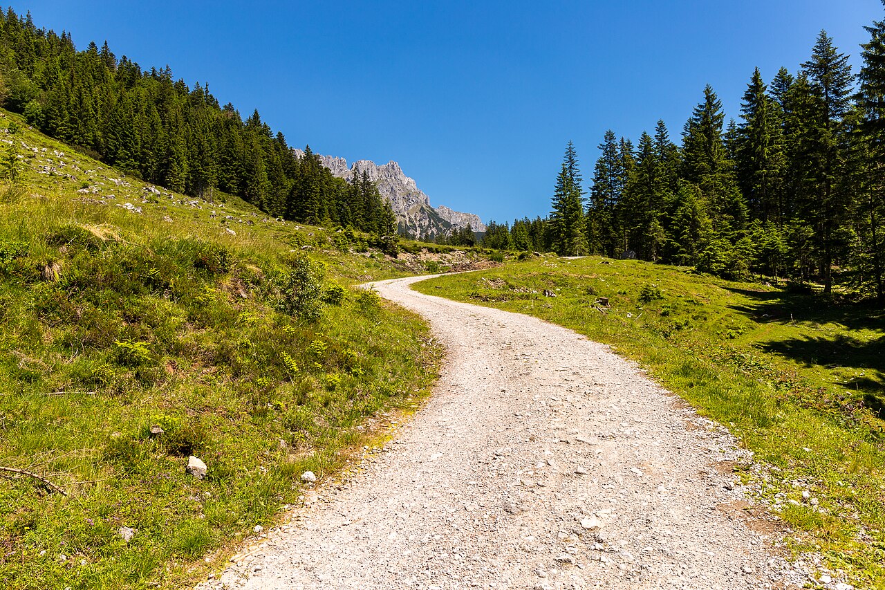 Wilder Kaiser ed Ellmau in Austria: 12 luoghi del Dottore di montagna nel 2026 6 Sentiero in un prato alpino nella regione del Wilder Kaiser