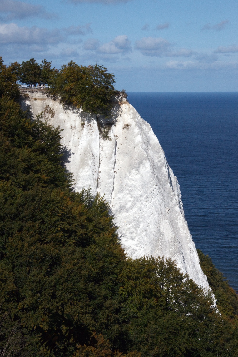 Rügen Island Germany: 12 Film Locations to Visit in 2026 1 White chalk cliffs above the Baltic in Jasmund National Park