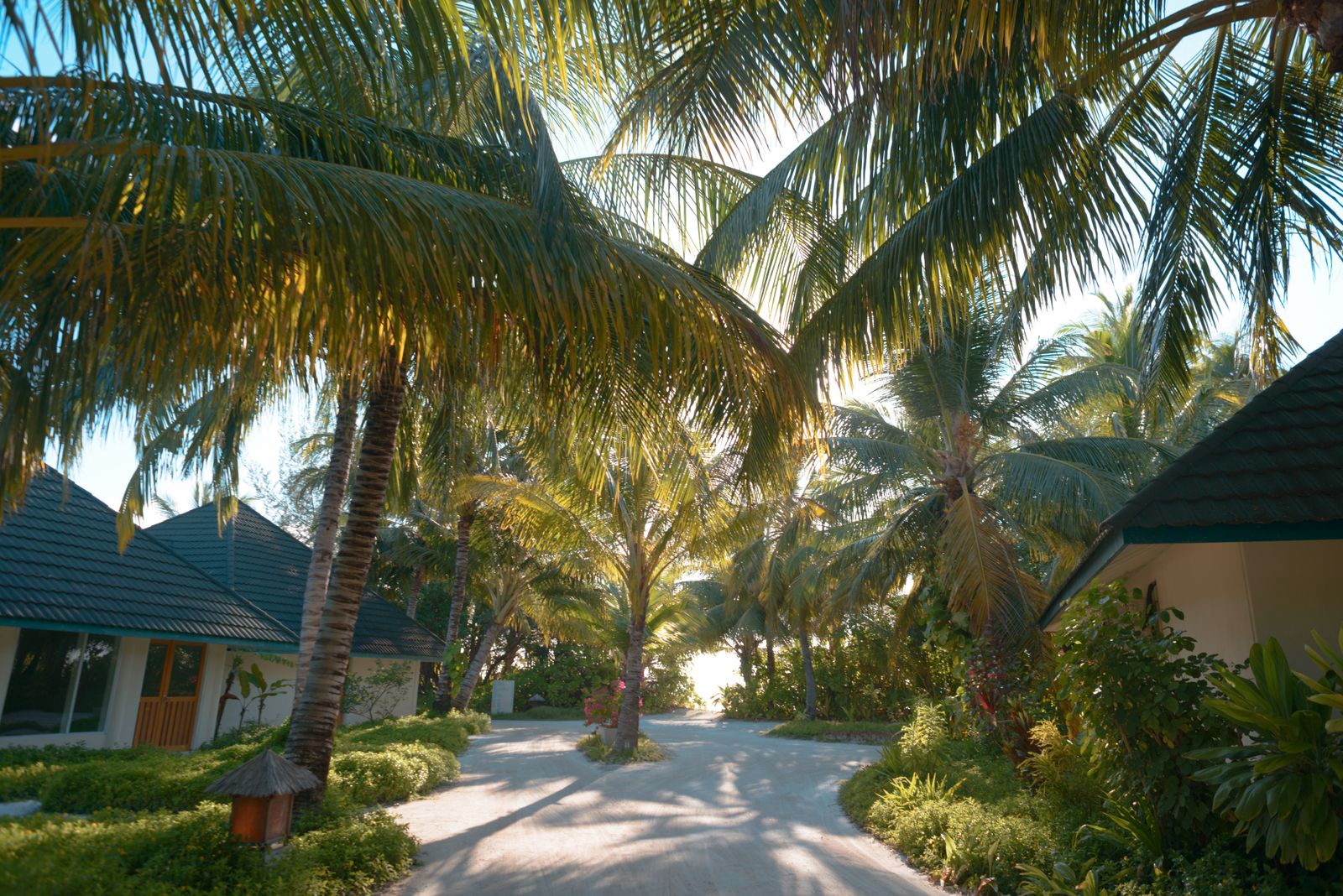 Majoitus Malediiveilla: 12 parasta resorttia ja saarta budjetin mukaan vuonna 2026 18 Kuredu Island Resort & Spa (Lhaviyani-atolli)