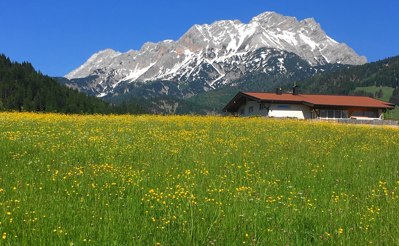 Wilder Kaiser ed Ellmau in Austria: 12 luoghi del Dottore di montagna nel 2026 4 Fattoria tirolese in un prato fiorito ai piedi del massiccio calcareo