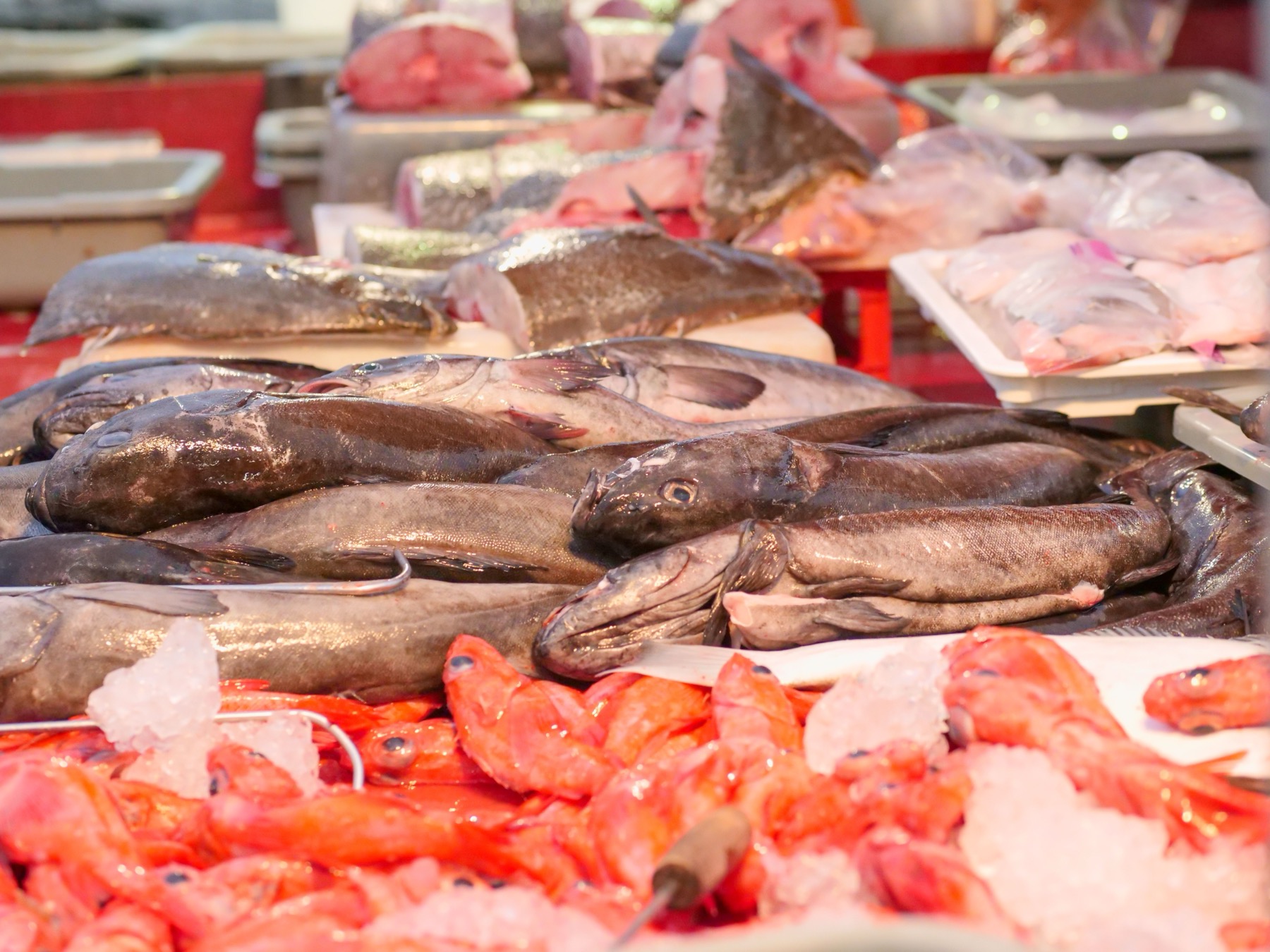 Vlakem z Osla do Bergenu: 10 věcí, které vědět o Bergensbanen, ceny a tipy na výhledy 16 Fisketorget: tečka za cestou v Bergenu