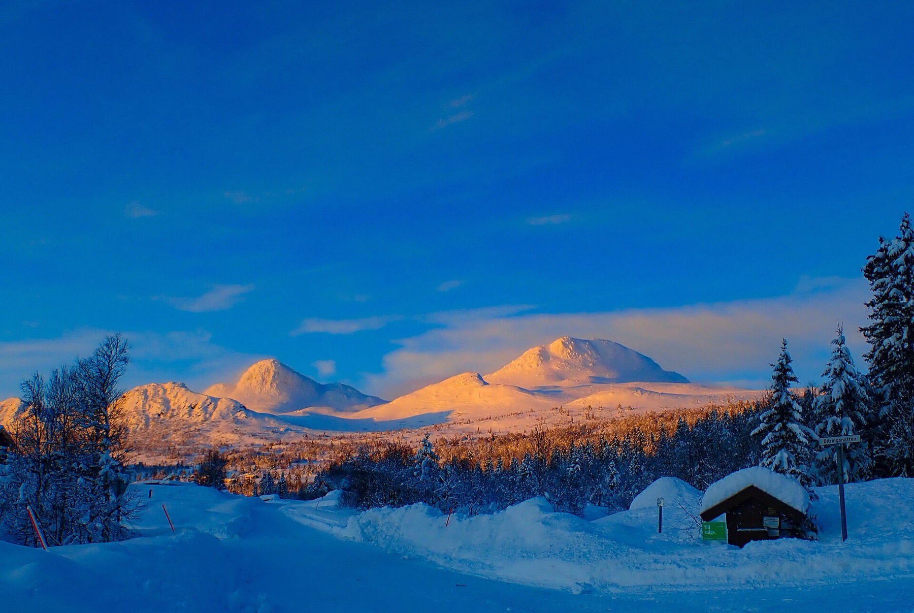 Noruega en Invierno: 15 Consejos Imprescindibles 2026 6 15 experiencias invernales de norte a sur