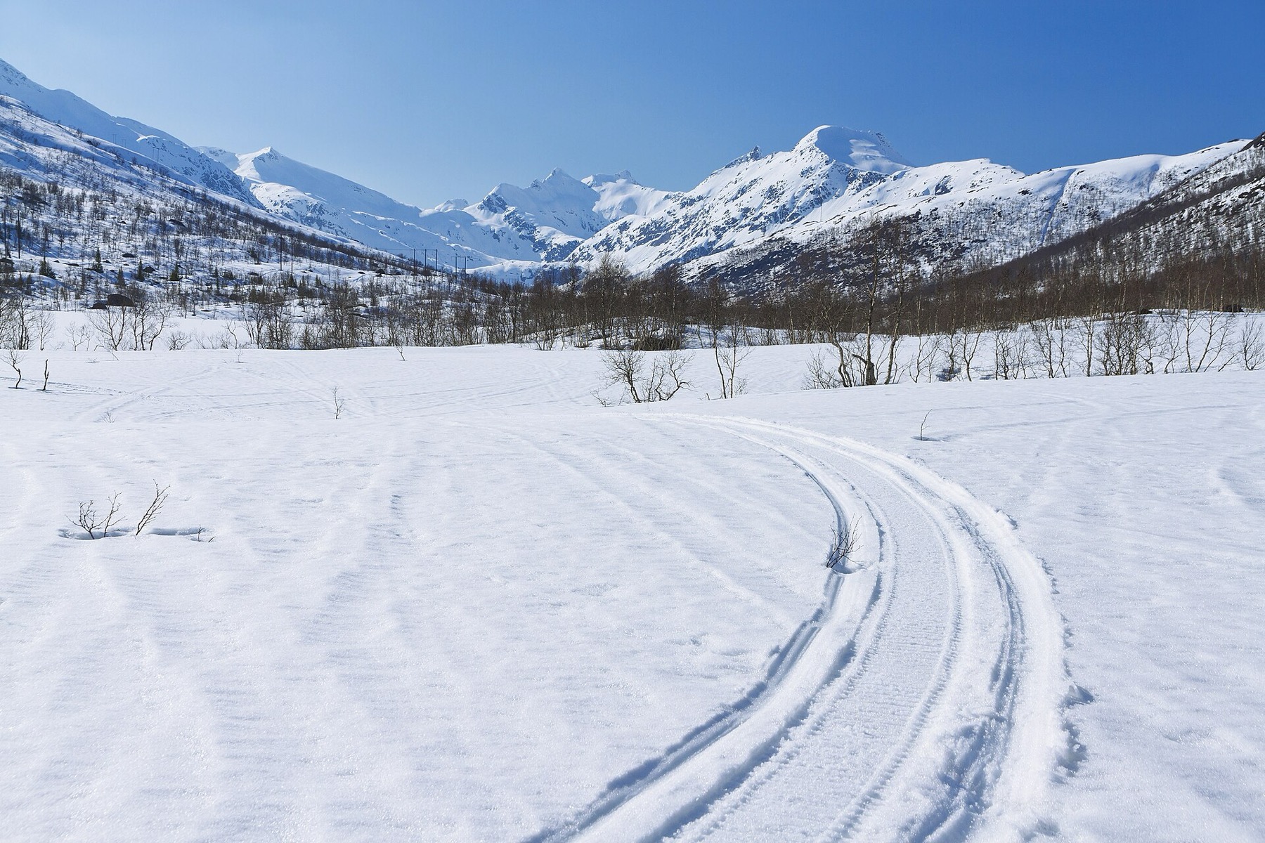 Noruega en Invierno: 15 Consejos Imprescindibles 2026 15 Pistas de esquí de fondo que empiezan en el metro