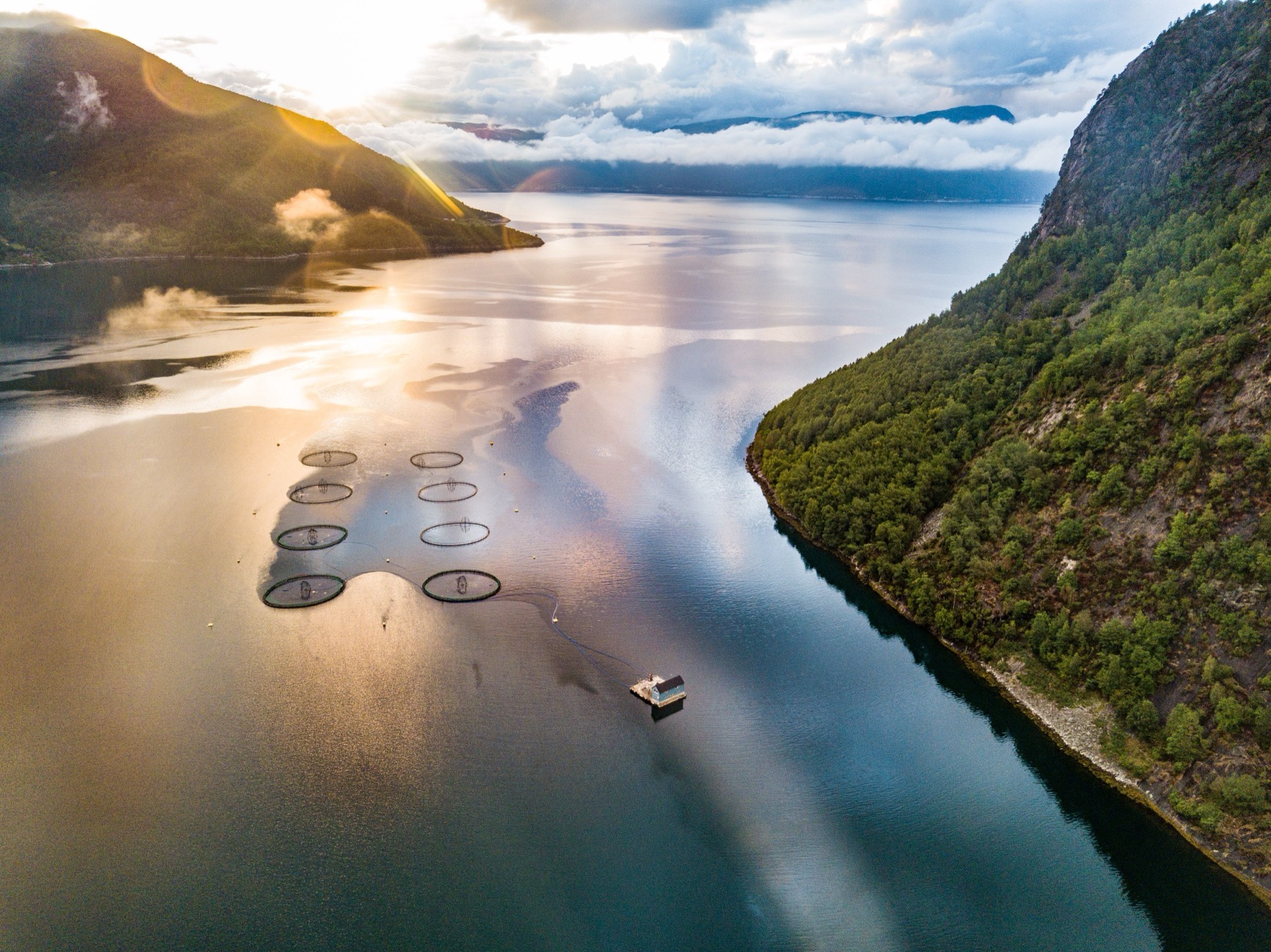 Fishing in Norway: Rules, Export Quotas and Licenses in 2026 9 Salmon farms in the fjords are among the causes of the wild salmon crisis