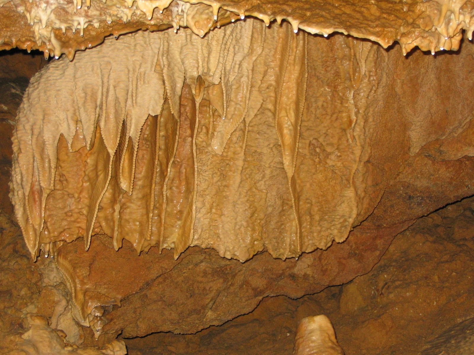 Vacaciones en Bohemia Central: 15 planes cerca de Praga en 2026 20 Formaciones de estalactitas en las cuevas de Koněprusy (Foto: Wikimedia Commons, CC BY-SA)