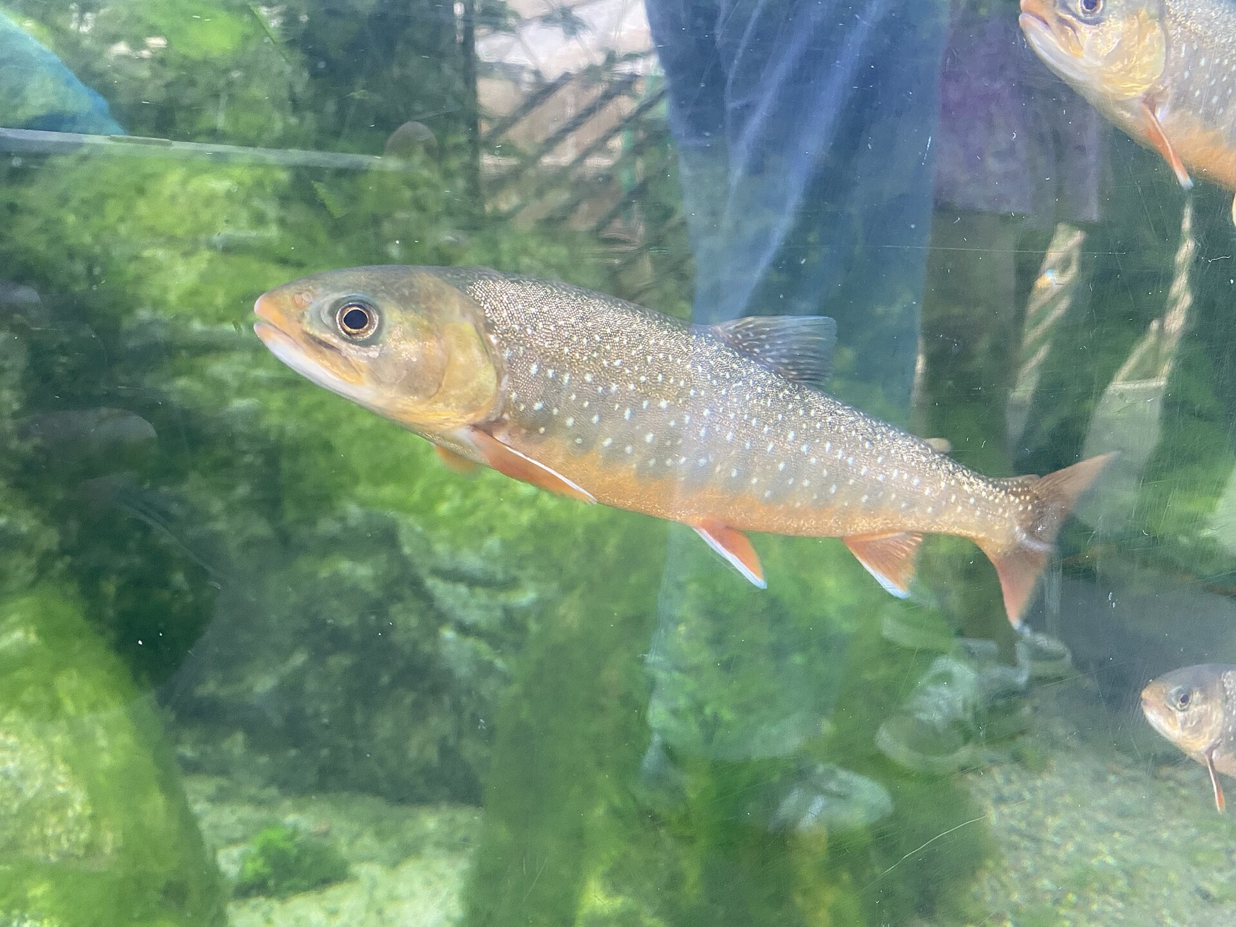Göteborg (Szwecja): 20 atrakcji, które warto zobaczyć w 2026 12 Centrum nauki Universeum