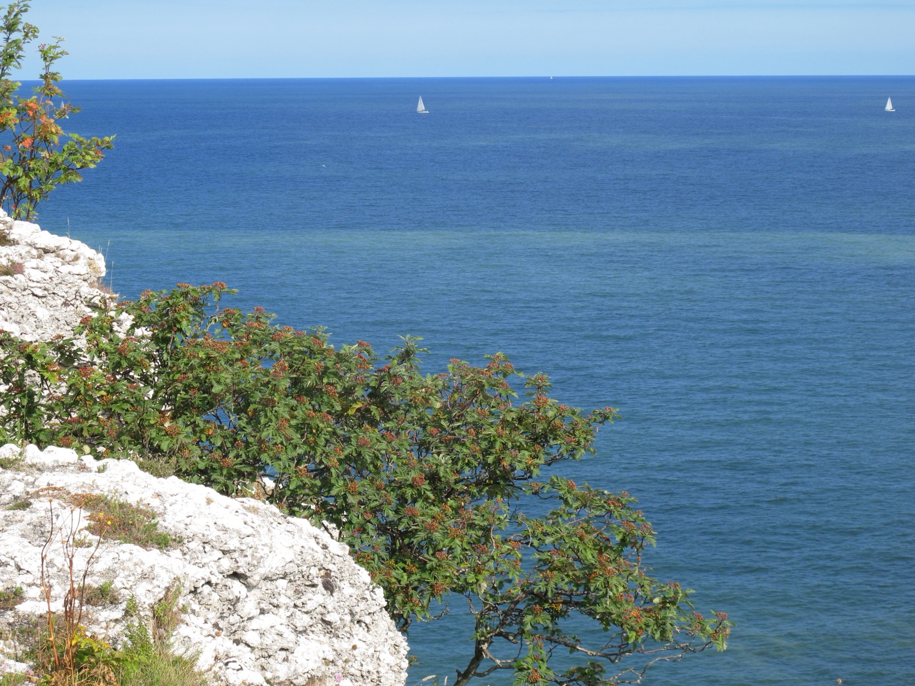 Letní pobřeží Gotlandu