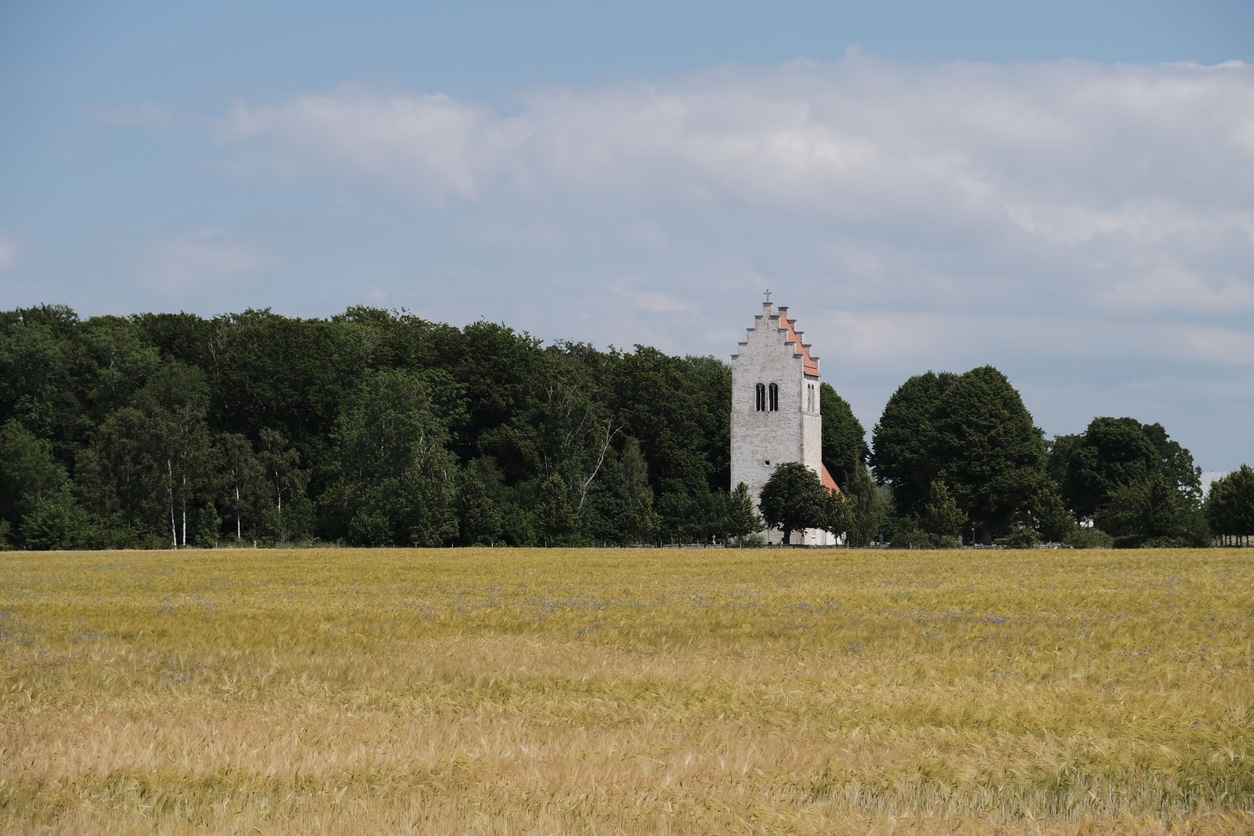 Krajina Fårö, kterou proslavil Ingmar Bergman
