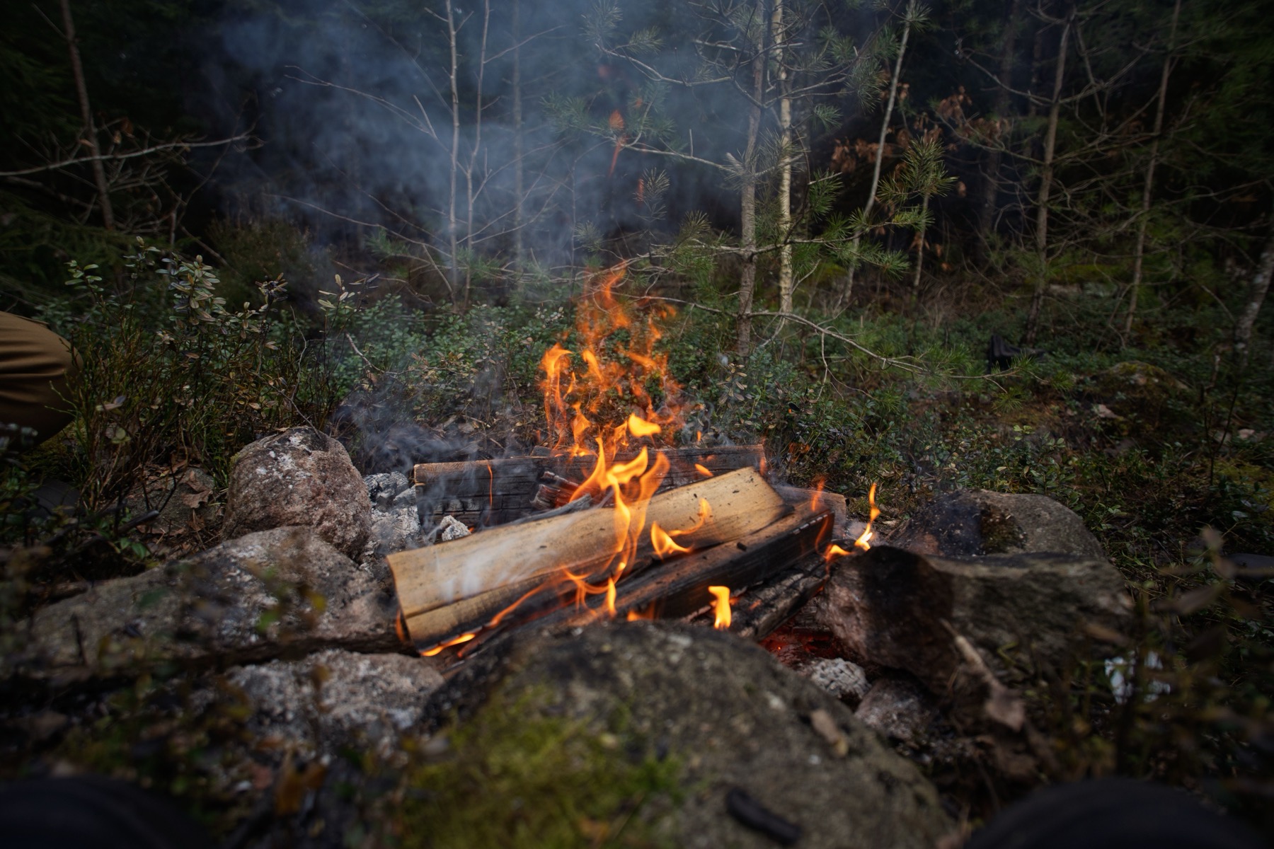 Allemansrätten și campingul în Suedia în 2026: reguli și sfaturi 7 Foc într-o vatră în pădure