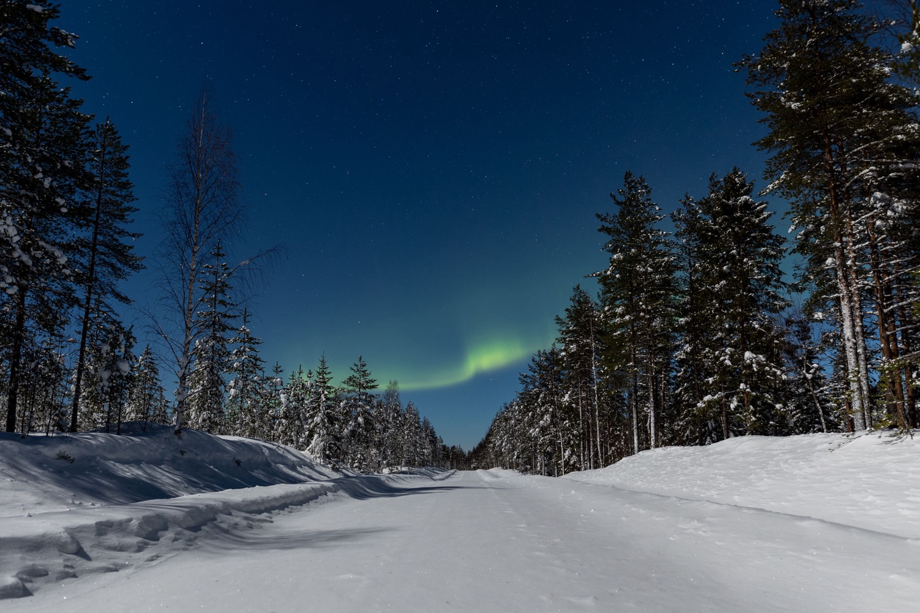 Kiruna, Švédsko: 18 tipů, co vidět a zažít ve městě, které se stěhuje 13 Polární záře nad zasněženým lesem